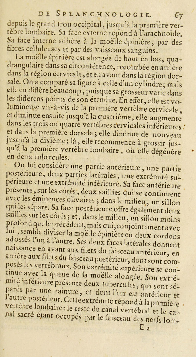 depuis le grand trou occipital, jusqu’à la première ver- tèbre lombaire. Sa face externe répond à l’arachnoïde. Sa tace interne adhère à .la moelle épinière, par des fibres celluleuses et par des vaisseaux sanguins. La moelle épiniere est alongée de haut en bas, qua- drangulaire dans sa circonférence, recourbée en arrière dans la région cervicale, et en avant dans la région dor- sale. On a compare sa figure a celle d’un cylindre; mais elle en diffère beaucoup, puisque sa grosseur varie dans les différens points de son étendue. En effet, elle est vo- lumineuse vis-à-vis de la première vertebre cervicale et diminue ensuite jusqu a la quatrième, elle augmente dans les trois ou quatre vertèbres cervicales inférieures. et da is la première dorsale ; elle diminue de nouveau jusqu’à la dixième; là, elle recommence à grossir jus- qu a la première vertèbre lombaire, où elle dégénère en deux tubercules. b On lui considère une partie antérieure, une partie postérieure, deux parties latérales, une extrémité su- périeure et une extrémité inférieure. Sa face antérieure présente , sur les côtés , deux saillies qui se continuent avec les eminences olivaires ; dans le milieu, un sillon qui es séparé. Sa face postérieure offre également deux nrnfeSr î C01fsj dans le milieu, im sillon moins pi ©fond que le precedent, mais qui,conjointementavec lui .semble diviser la moelle épinière en deux cordons os.es 1 un a 1 autre. Ses deux faces latérales donnent naissance en avant aux filets du faisceau antérieur en arnere aux filets du faisceau postérieur, dont sont com- f cs vei teb'aux- Son extrémité supérieure se con- mue avec la queue de la moelle alongée. Son extré- DaJés nfarieurepr-esente tubercules’ qui sont sé- pa.es par une rainure, et dont l’un est antérieur et autre postérieur. Cette extrémité répond à la première vertebre lombaire: le reste du canal vertébral et iTcT- Sdcre eIant occupés par le faisceau des nerfs lomr Ei
