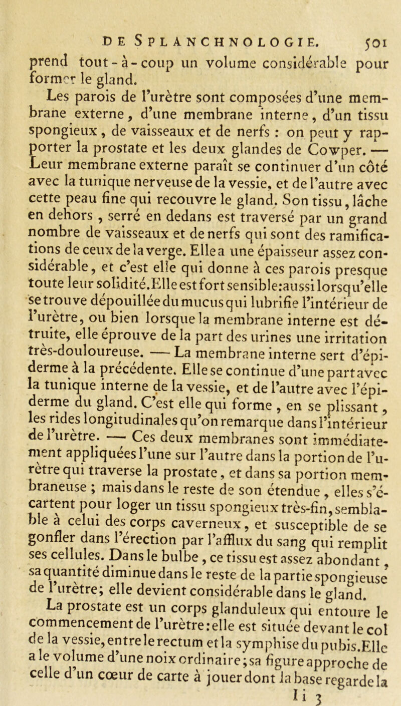 prend tout-à-coup un volume considérable pour former le gland. Les parois de l’urètre sont composées d’une mem- brane externe, d’une membrane interne, d’un tissu spongieux , de vaisseaux et de nerfs : on peut y rap- porter la prostate et les deux glandes de Cowper. — Leur membrane externe paraît se continuer d’un côté avec la tunique nerveuse de la vessie, et de l’autre avec cette peau fine qui recouvre le gland. Son tissu, lâche en dehors , serré en dedans est traversé par un grand nombre de vaisseaux et de nerfs qui sont des ramifica- tions de ceux de la verge. Elle a une épaisseur assez con- sidérable, et c’est elle qui donne à ces parois presque toute leur solidité.Elle est fort sensibleraussi lorsqu’elle se trouve dépouillée du mucus qui lubrifie l’intérieur de l’urètre, ou bien lorsque la membrane interne est dé- truite, elle éprouve de la part des urines une irritation très-douloureuse. — La membrane interne sert d’épi- derme à la précédente. Elle se continue d’une part avec la tunique interne de la vessie, et de l’autre avec l’épi- derme du gland. C’est elle qui forme , en se plissant, les rides longitudinales qu on remarque dans l’intérieur del urètre. —- Ces deux membranes sont immédiate- ment appliquées l’une sur l’autre dans la portion de l’u- retre qui traverse la prostate, et dans sa portion mem- braneuse ; mais dans le reste de son étendue , elles s’é- cartent pour loger un tissu spongieux très-fin, sembla- ble à celui des corps caverneux, et susceptible de se gonfler dans l’érection par l'afflux du sang qui remplit ses cellules. Dans le bulbe , ce tissu est assez abondant, sa quantité diminue dans le reste de la partie spongieuse* de l’urètre; elle devient considérable dans le gland. La prostate est un corps glanduleux qui entoure le commencement de l’urètre relie est située devant le col de la vessie,entrelerectum etla symphise du pubis. Elle a le volume d’une noix ordinaire; sa figure approche de celle d un cœur de carte à jouer dont la base regarde la