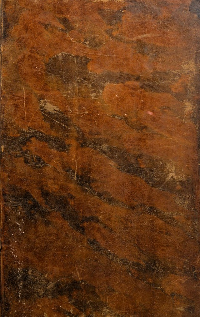 No text description is available for this image