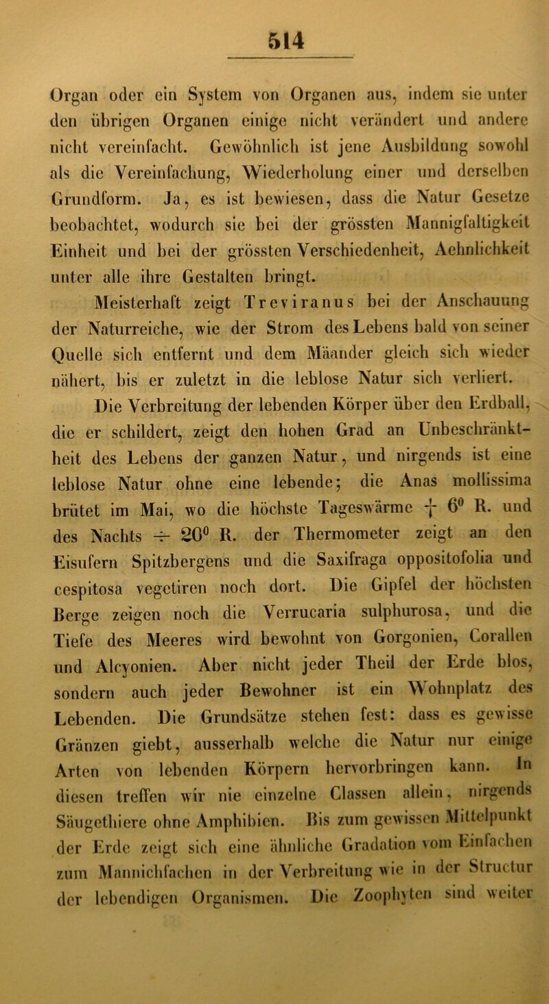 Organ oder ein System von Organen aus, indem sie unter den übrigen Organen einige nicht verändert und andere nicht vereinfacht. Gewöhnlich ist jene Ausbildung sowohl als die Vereinfachung, Wiederholung einer und derselben Grundform. Ja, es ist bewiesen, dass die Natur Gesetze beobachtet, wodurch sie bei der grössten Mannigfaltigkeit Einheit und bei der grössten Verschiedenheit, Aehnlichkeit unter alle ihre Gestalten bringt. Meisterhaft zeigt Treviranus bei der Anschauung der Naturreiche, wie der Strom des Lebens bald von seiner Quelle sich entfernt und dem Mäander gleich sich wieder nähert, bis er zuletzt in die leblose Natur sich verliert. Die Verbreitung der lebenden Körper über den Erdball, die er schildert, zeigt den hohen Grad an Unbeschränkt- heit des Lebens der ganzen Natur, und nirgends ist eine leblose Natur ohne eine lebende; die Anas mollissima brütet im Mai, wo die höchste Tageswärme f 6° R. und des Nachts -r- 20° R. der Thermometer zeigt an den Eisufern Spitzbergens und die Saxifraga oppositofolia und cespitosa vegetiren noch dort. Die Gipfel der höchsten Berge zeigen noch die Verrucaria sulphurosa, und die Tiefe des Meeres wird bewohnt von Gorgonien, Corallen und Alcyonien. Aber nicht jeder Jheil der Erde blos, sondern auch jeder Bewohner ist ein Wohnplatz des Lebenden. Die Grundsätze stehen fest: dass es gewisse Gränzen giebt, ausserhalb welche die Natur nur einige Arten von lebenden Körpern hervorbringen kann. ln diesen treffen wir nie einzelne Classen allein, nirgends Säugethiere ohne Amphibien. Bis zum gewissen Mittelpunkt der Erde zeigt sich eine ähnliche Gradation vom Einlat hen zum Mannichfachcn in der Verbreitung wie in der Structur der lebendigen Organismen. Die Zoophytcn sind weiter