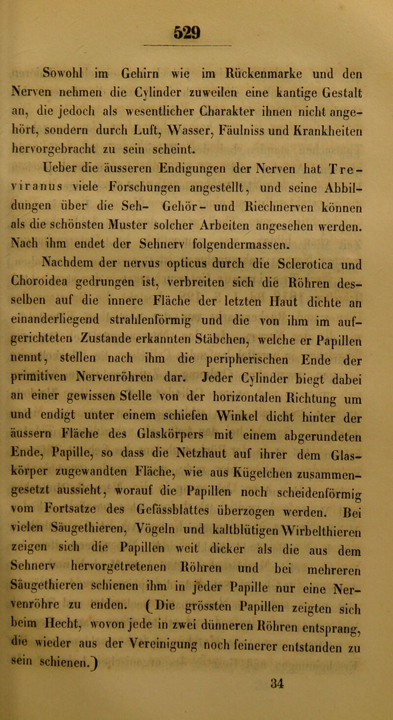 Sowohl im Gehirn wie im Rückenmarke und den Nerven nehmen die Cylinder zuweilen eine kantige Gestalt an, die jedoch als wesentlicher Charakter ihnen nicht ange- hört, sondern durch Luft, Wasser, Fäulniss und Krankheiten hervorgebracht zu sein scheint. Ueber die äusseren Endigungen der Nerven hat Tre- viranus viele Forschungen angestellt, und seine Abbil- dungen über die Seh- Gehör- und Riechnerven können als die schönsten Muster solcher Arbeiten angesehen werden. Nach ihm endet der Sehnerv folgendermassen. Nachdem der nervus opticus durch die Sclerotica und Choroidea gedrungen ist, verbreiten sich die Röhren des- selben auf die innere Fläche der letzten Haut dichte an einanderliegend strahlenförmig und die von ihm im auf- gerichteten Zustande erkannten Stäbchen, welche er Papillen nennt, stellen nach ihm die peripherischen Ende der primitiven Nervenröhren dar. Jeder Cylinder biegt dabei an einer gewissen Stelle von der horizontalen Richtung um und endigt unter einem schiefen Winkel dicht hinter der äussern Fläche des Glaskörpers mit einem abgerundeten Ende, Papille, so dass die Netzhaut auf ihrer dem Glas- körper zugewandten Fläche, wie aus Kügelchen zusammen- gesetzt aussieht, worauf die Papillen noch scheidenförmig vom Fortsatze des Gcfässblattes überzogen werden. Bei vielen Säugethieren, Vögeln und kaltblütigenWirbelthieren zeigen sich die Papillen weit dicker als die aus dem Sehnerv hervorgetretenen Röhren und bei mehreren Säugethieren schienen ihm in jeder Papille nur eine Ner- venröhre zu enden. (^Die grössten Papillen zeigten sich beim Hecht, wovon jede in zwei dünneren Röhren entsprang, die wieder aus der Vereinigung noch feinerer entstanden zu sein schienen.) 34