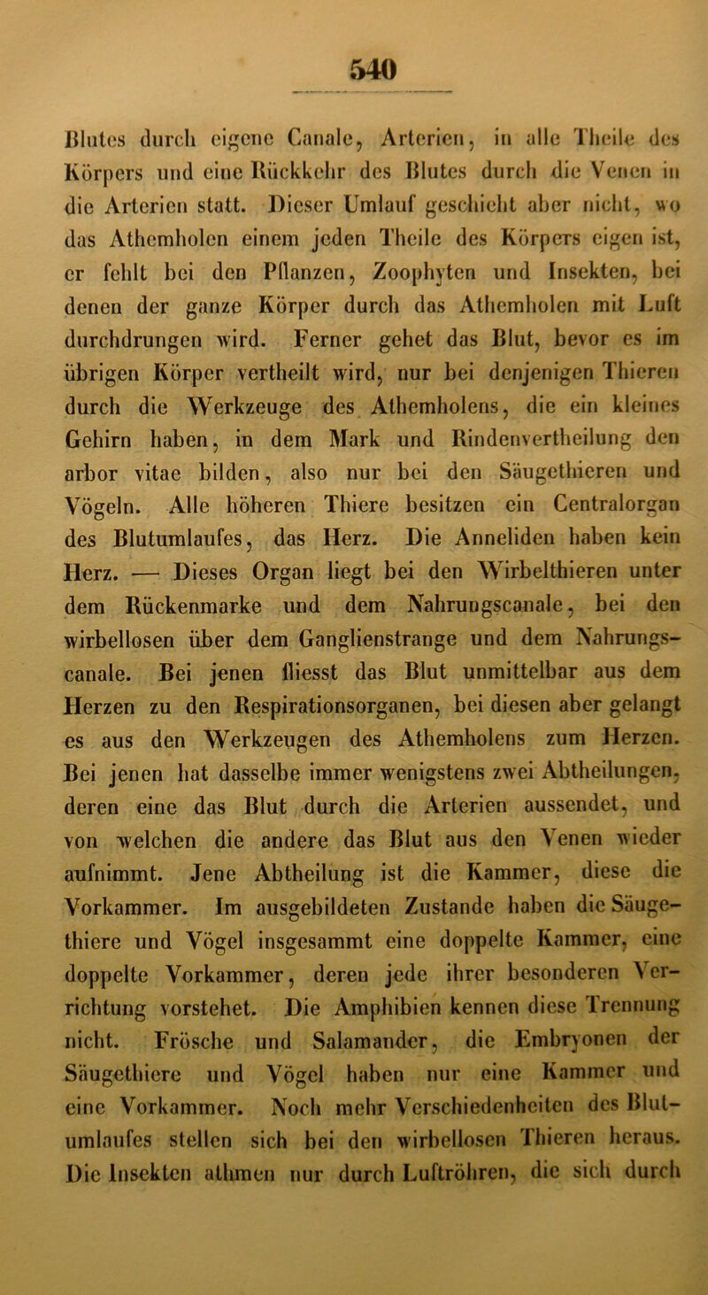 Blutes durch eigene Canale, Arterien, in alle Theile des Körpers und eine Rückkehr des Blutes durch die Venen in die Arterien statt. Dieser Umlauf geschieht aber nicht, wo das Athemholen einem jeden Theile des Körpers eigen ist, er fehlt bei den Pflanzen, Zoophyten und Insekten, hei denen der ganze Körper durch das Athemholen mit Luft durchdrungen wird. Ferner gehet das Blut, bevor es im übrigen Körper vertheilt wird, nur bei denjenigen Thieren durch die Werkzeuge des Athemholens, die ein kleines Gehirn haben, in dem Mark und Rindenvertheilung den arbor vitae bilden, also nur bei den Säugethieren und Vögeln. Alle höheren Thiere besitzen ein Centralorgan des Blutumlaufes, das Herz. Die Anneliden haben kein Herz. — Dieses Organ liegt bei den Wirbelthieren unter dem Rückenmarke und dem Nahrungscanale, bei den wirbellosen über dem Ganglienstrange und dem Nahrungs- canale. Bei jenen fliesst das Blut unmittelbar aus dem Herzen zu den Respirationsorganen, bei diesen aber gelangt es aus den Werkzeugen des Athemholens zum Herzen. Bei jenen hat dasselbe immer wenigstens zwei Abtheilungen, deren eine das Blut durch die Arterien aussendet, und von welchen die andere das Blut aus den \enen wieder aufnimmt. Jene Abtheilung ist die Kammer, diese die Vorkammer. Im ausgebildeten Zustande haben die Säuge- thiere und Vögel insgesammt eine doppelte Kammer, eine doppelte Vorkammer, deren jede ihrer besonderen Ver- richtung vorstehet. Die Amphibien kennen diese Trennung nicht. Frösche und Salamander, die Embryonen der Saugethiere und Vögel haben nur eine Kammer und eine Vorkammer. Noch mehr Verschiedenheiten des Blul- umlaufes stellen sich bei den wirbellosen Thieren heraus. Die Insekten athmen nur durch Luftröhren, die sich durch