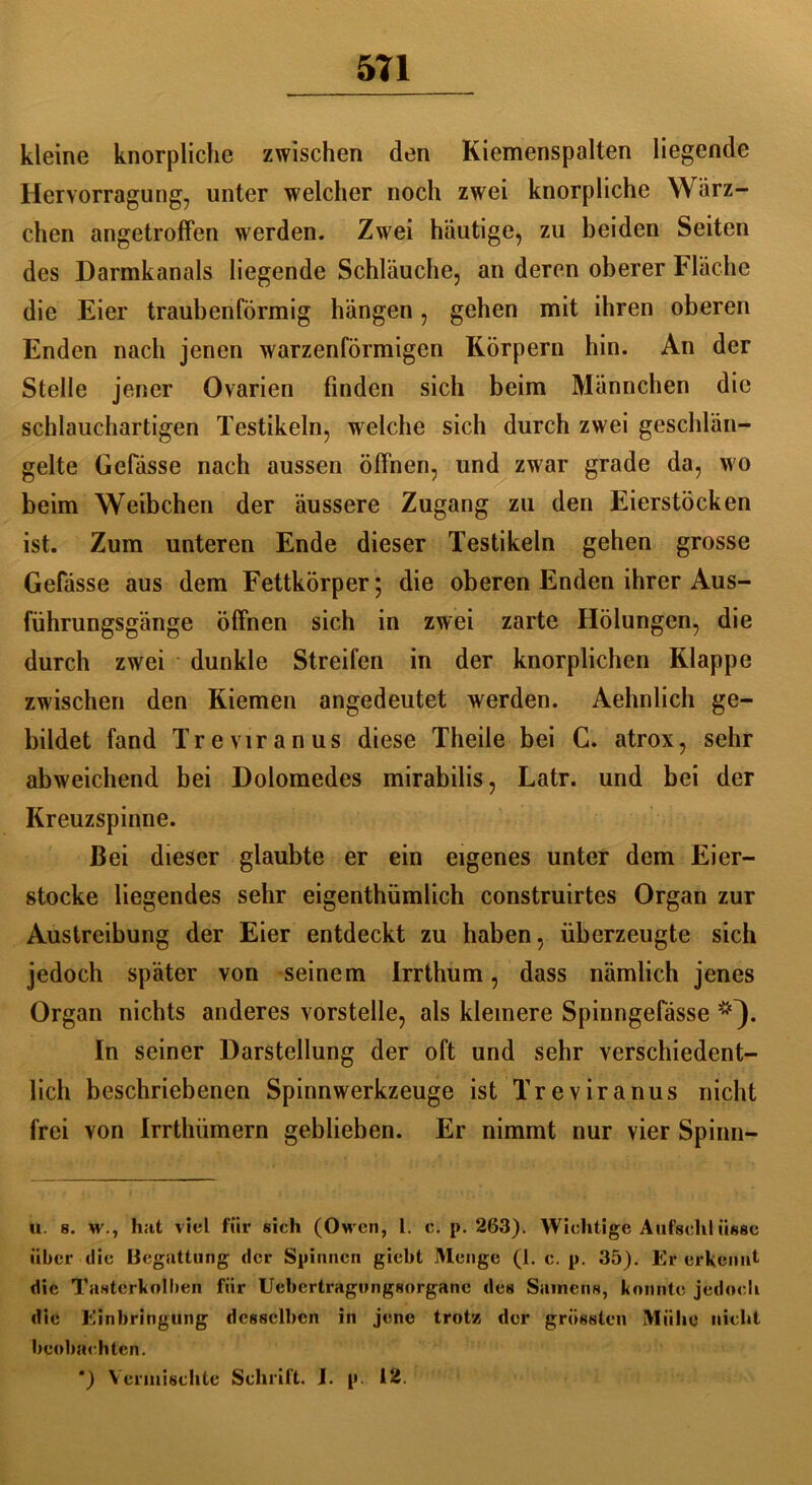 kleine knorpliche zwischen den Kiemenspalten liegende Hervorragung7 unter welcher noch zwei knorpliche Wärz- chen angetroffen werden. Zwei häutige, zu beiden Seiten des Darmkanals liegende Schläuche, an deren oberer Fläche die Eier traubenförmig hängen, gehen mit ihren oberen Enden nach jenen warzenförmigen Körpern hin. An der Stelle jener Ovarien finden sich beim Männchen die schlauchartigen Testikeln, welche sich durch zwei geschlän- gelte Gefässe nach aussen öffnen, und zwar grade da, wo beim Weibchen der äussere Zugang zu den Eierstöcken ist. Zum unteren Ende dieser Testikeln gehen grosse Gefässe aus dem Fettkörper; die oberen Enden ihrer Aus- führungsgänge öffnen sich in zwei zarte Hölungen, die durch zwei dunkle Streifen in der knorplichen Klappe zwischen den Kiemen angedeutet werden. Aehnlich ge- bildet fand Treviranus diese Theile bei G. atrox, sehr abweichend bei Dolomedes mirabilis, Latr. und bei der Kreuzspinne. Bei dieser glaubte er ein eigenes unter dem Eier- stocke liegendes sehr eigenthümlich construirtes Organ zur Austreibung der Eier entdeckt zu haben, überzeugte sich jedoch später von seinem Irrthum, dass nämlich jenes Organ nichts anderes vorstelle, als kleinere Spinngefässe In seiner Darstellung der oft und sehr verschiedent- lich beschriebenen Spinnwerkzeuge ist Treviranus nicht frei von Irrthiimern geblieben. Er nimmt nur vier Spinn- u. 8. w., h;it viel für sich (Owen, l. c. p. 263). Wichtige Aufschlüsse über die Begattung der Spinnen giebt Menge (1. c. p. 35). Er erkennt die Tasterkolben für Uebertragungsorgane des Samens, konnte jedoch die Einbringung desselben in jene trotz der grössten Mühe nicht beobachten. *) Vermischte Schrift. I. p. 12.