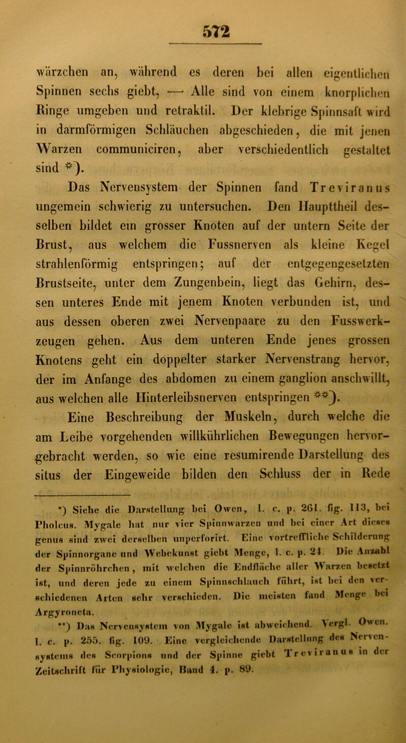 5T2 Wärzchen an, während es deren bei allen eigentlichen Spinnen sechs giebt, —* **) Alle sind von einem knorplichen Ringe umgeben und retraktil. Der klebrige Spinnsaft wird in darmförmigen Schläuchen abgeschieden, die mit jenen Warzen communiciren, aber verschiedentlich gestaltet sind *). Das Nervensystem der Spinnen fand Treviranus ungemein schwierig zu untersuchen. Den Haupttheil des- selben bildet ein grosser Knoten auf der untern Seite der Brust, aus welchem die Fussnerven als kleine Kegel strahlenförmig entspringen; auf der entgegengesetzten Brustseite, unter dem Zungenbein, liegt das Gehirn, des- sen unteres Ende mit jenem Knoten verbunden ist, und aus dessen oberen zwei Nervenpaare zu den Fusswerk- zeugen gehen. Aus dem unteren Ende jenes grossen Knotens geht ein doppelter starker Nervenstrang hervor, der im Anfänge des abdomen zu einem ganglion anschwillt, aus welchen alle Hinterleibsnerven entspringen Eine Beschreibung der Muskeln, durch welche die am Leibe vorgehenden willkührlichen Bewegungen hervor- gebracht werden, so wie eine resumirende Darstellung des situs der Eingeweide bilden den Schluss der in Rede *) Siehe die Darstellung bei Owen, l. e. p. 261. fig. 113, bei Pbolcus. Mygale hat nur vier Spinnwarzen und bei einer Art dieses genus sind zwei derselben uriperforirt. Eine vortreffliche Schilderung der Spinnorgane und Webekunst giebt Menge, 1. c. p. 21. Die Anzahl der Spinnröhrchen , mit welchen die Endfläche aller W arzen besetzt ist, und deren jede zu einein Spinnschlauch fuhrt, ist bei den ver- schiedenen Arten sehr verschieden. Die meisten fand Menge bei Argyroneta. **) Das Nervensystem von Mygalc ist abweichend. Vergl. Owen. 1. c. p. 255. fig. 109. Eine vergleichende Darstellung des Nerven- systems des Scorpions und der Spinne giebt Treviranus in der Zeitschrift für Physiologie, Hand 4. p. 89.