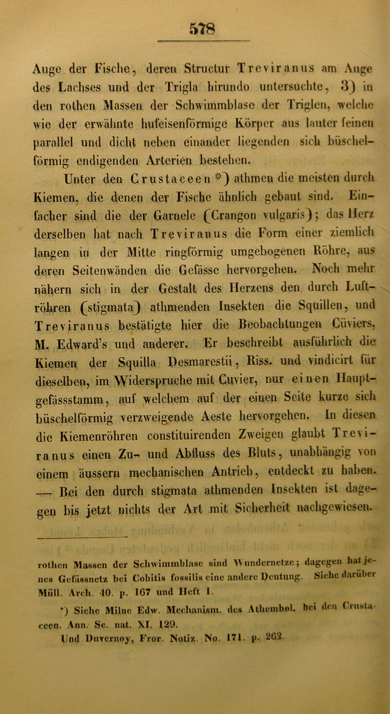 Auge der Fische, deren Structur Treviranus am Auge des Lachses und der Trigla hirundo untersuchte, 3} in den rothcn Massen der Schwimmblase der Triglen, welche wie der erwähnte hufeisenförmige Körper aus lauter feinen parallel und dicht neben einander liegenden sich büschel- förmig endigenden Arterien bestehen. Unter den Crustaceen athmen die meisten durch Kiemen, die denen der Fische ähnlich gebaut sind. Ein- facher sind die der Garnele fCrangon vulgaris}$ das Herz derselben hat nach Treviranus die Form einer ziemlich langen in der Mitte ringförmig umgebogenen Röhre, aus deren Seitenwänden die Gefässe hervorgehen. Noch mehr nähern sich in der Gestalt des Herzens den durch Luft- röhren (^Stigmata) athmenden Insekten die Squillen, und Treviranus bestätigte hier die Beobachtungen Cüviers, M. Edward’s und anderer. Er beschreibt ausführlich die Kiemen der Squilla Desmarestii, Riss, und vindicirt für dieselben, im Widerspruche mit Cuvier, nur einen Ilaupt- gefässstamm, auf welchem auf der einen Seite kurze sich büschelförmig verzweigende Aeste hervorgehen. In diesen die Kiemenröhren constituirenden Zweigen glaubt Tre>i- ranus einen Zu- und Abfluss des Bluts, unabhängig von einem äussern mechanischen Antrieb, entdeckt zu haben. — Bei den durch Stigmata athmenden Insekten ist dage- gen bis jetzt nichts der Art mit Sicherheit nachgewiesen. rotlten Massen der Schwimmblase sind undernetze; dagegen bat je nes Gcfässnctz hei Cobitis fossilis eine andere Deutung. Siehe darüber Müll. Arch. 40. p. IG7 und lieft 1. •) Siche Milnc Edw. Mechanism. des Athemhol. bei den Crusta- cccn. Ann. Sc. nat. XI. 129. Und Duternoy, Fror. Notiz. No. 171. p. 2G2