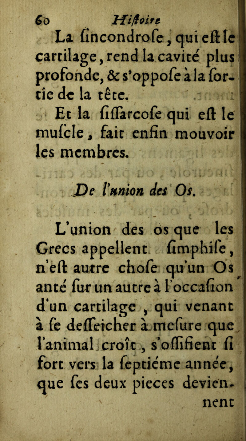 So La fîncondrofe, qui cftic cartilage,rendlacavitc plus profonde, & s’oppofe à la (or- tie de la tête, Ec la (iflarcofe qui eft le mufcle, fait enfin mouvoir les membres. De l’union des Os. L’union des os que les Grecs appellent fimphife, n’eft autre chofe qu’un Os anté fur un autre à l’occafion d’un cartilage , qui venant à fe delTercher à-mefure que, l’animal croît, s’offifient fi fort vers la fcpticmc année, que fes deux pièces devien- nent