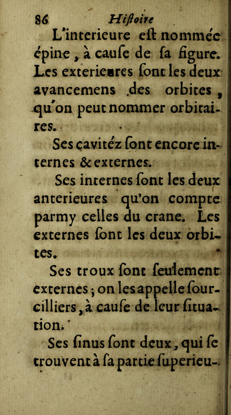 8^ mftoire L*intcrieure eft nommée épine, à caufe de fa figure. Les exterie«res font les deux avancemens .des orbites , jqu'on peut nommer orbitai- res. Scs çavitéz (ont encorein- ternes & externes. Ses internes font les deux anterieures qu’on compte parmy celles du crâne. Les externes font les deux orbû tes. Ses troux font feulement externes -, on lesappelle four- cilliers, à caufe de leur fitua^ tioUi ‘ Ses finus font deux, qui Ce trouvent à fa partie fiipericu-