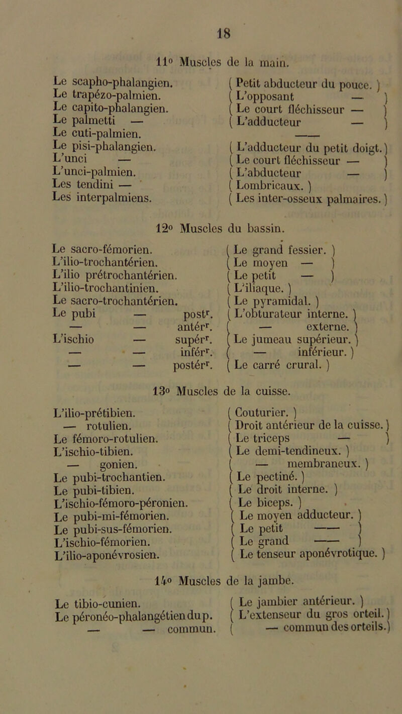 11° Muscles de la main. Le scapho-phalangien. Le trapézo-palmien. Le capito-phalangien. Le palmetti — Le cuti-palmien. Le pisi-phalangien. L’unci — L’unci-palmien. Les tendini — Les interpalmiens. ( Petit abducteur du pouce. ) ( L’opposant — ) ( Le court fléchisseur — ) ( L’adducteur — ) ( L’adducteur du petit doigt.) ( Le court fléchisseur — ) ( L’abducteur — ( Lombricaux. ) ( Les inter-osseux palmaires. ) 12° Muscles du bassin. Le sacro-fémorien. L’ilio-trochantérien. L’ilio prétrochantérien. L’ilio-trochantinien. Le sacro-trochantérien. Le pubi — postr. — — antérr. L’ischio — supérr. — — inférr. — — postér1-. 13° Muscles L’ilio-prétibien. — rotulien. Le fémoro-rotulien. L’ischio-tibien. — gonien. Le pubi-trochantien. Le pubi-tibien. L’ischio-fémoro-péronien. Le pubi-mi-fémorien. Le pubi-sus-fémorien. L’ischio-fémorien. L’ilio-aponévrosien. ( Le grand fessier. ) [ Le moyen — ) [ Le petit — ) [ L’iliaque. ) [ Le pyramidal. ) ( L’obturateur interne. ) ( — externe. ) ( Le jumeau supérieur. ) ( — inférieur. ) | Le carré crural. ) de la cuisse. ( Couturier. ) ( Droit antérieur de la cuisse. ) [ Le triceps — ) ( Le demi-tendineux. ) [ — membraneux. ) ( Le pectiné. ) ( Le droit interne. ) ( Le biceps. ) ( Le moyen adducteur. ) ( Le petit ) ( Le grand j ( Le tenseur aponévrotique. ) 14° Muscles de la jambe. Le tibio-cunien. ( Le jambier antérieur. ) Le péronéo-phalangétiendup. [ L’extenseur du gros orteil. ) — commun. ( — commun des orteils.)