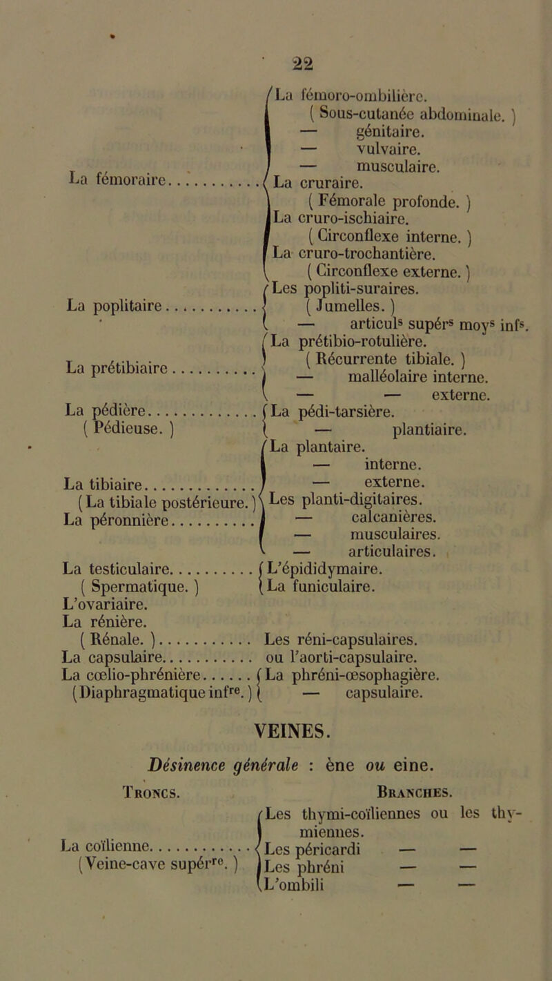La fémoraire La poplitaire ... La prétibiaire. La pédière ( Pédieuse. ) La tibiaire ( La tibiale postérieure. ) La péronnière La testiculaire ( Spermatique. ) L’ovariaire. La rénière. ( Rénale. ) La capsulaire La cœlio-phrénière (Diaphragmatique infre. ) La fémoro-ombilièrc. ( Sous-cutanée abdominale. ) — génitaire. — vulvaire. — musculaire. La cruraire. ( Fémorale profonde. ) La cruro-ischiaire. ( Circonflexe interne. ) La cruro-trochantière. ( Circonflexe externe. ) ÎLes popliti-suraires. ( Jumelles. ) — articuls supérs moys infs. f La prétibio-rotulière. j ( Récurrente tibiale. ) j — malléolaire interne, v — — externe. (La pédi-tarsière. i — plantiaire. La plantaire. — interne. — externe. Les planti-digitaires. — calcanières. — musculaires. — articulaires. L’épididymaire. La funiculaire. Les réni-capsulaires. ou l’aorti-capsulaire. La phréni-oesophagièrc. — capsulaire. VEINES. Désinence générale : ène ou eine. Troncs. Branches. {Les thymi-coïliennes ou les thy- miennes. Les péricardi — — Les phréni — — L’ombili — —