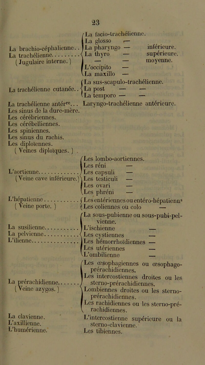 ILa facio-trachélienne. La glosso f— La pharyngo — inférieure. La thyro — supérieure. — moyenne. L’occipito — La maxillo — ILa sus-scapulo-trachélionne. La post — — La temporo — — La trachélienne antérre... Laryngo-trachélienne antérieure. Les sinus de la dure-mère. Les cérébriennes. Les cérébelliennes. Les spiniennes. Les sinus du rachis. Les diploïennes. ( Veines diploïques. ) . ILes lombo-aortiennes. Les réni — Les capsuli — Les testiculi — Les ovari — Les phréni — L’hépatienne ( Lesentériennesouentéro-hépatienns ( Veine porte. ) (Les coliennes ou colo — ILa sous-pubienne ou sous-pubi-pel- vienne. L’ischienne — Les cystiennes — Les hémorrhoïdiennes — Les utériennes — L’ombilienne — La prérachidienne. ( Veine azygos. ) La clavienne. L’axillienne. L’humérienne. ILes œsophagiennes ou oesophago- prérachidiennes. Les intercostiennes droites ou les sterno-prérachidiennes. Lombiennes droites ou les sterno- prérachidiennes. Les rachidiennes ou les sterno-pré- rachidiennes. L’intercostienne supérieure ou la sterno-cla vienne. Les tibiennes.
