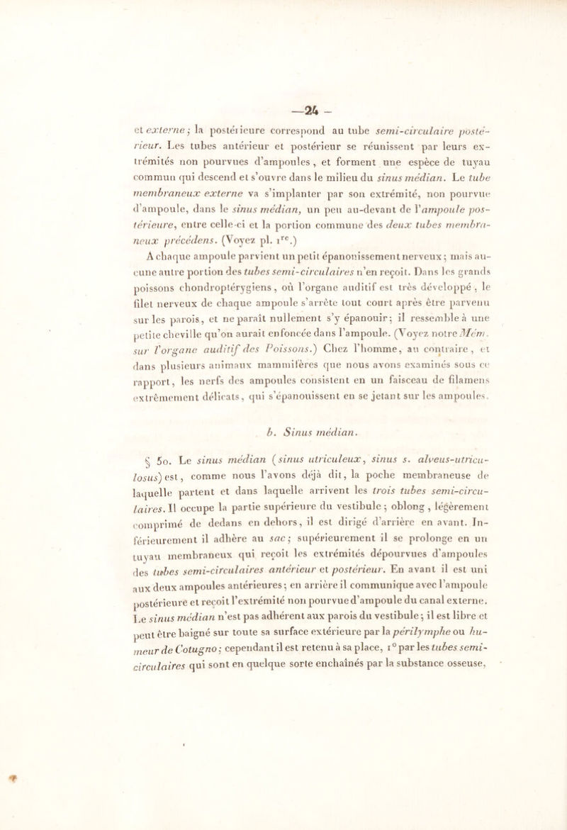 —24 - et externe j la postérieure correspond au tube semi-circulaire posté- rieur. Les tubes antérieur et postérieur se réunissent par leurs ex» trémités non pourvues d’ampoules , et forment une espèce de tuyau commun qui descend et s’ouvre dans le milieu du sinus médian. Le tube membraneux externe va s’implanter par son extrémité, non pourvue d’ampoule, dans le sinus médian, un peu au-devant cle Y ampoule pos- térieure, entre celle-ci et la portion commune des deux tubes membra- neux précédais. (Voyez pl. ire.) A chaque ampoule parvient un petit épanouissement nerveux 5 mais au- cune autre portion des tubes semi-circulaires n’en reçoit. Dans les grands poissons chondroptérygiens , où l’organe auditif est très développé, le filet nerveux de chaque ampoule s’arrête tout court après être parvenu sur les parois, et ne paraît nullement s’y épanouir-, il ressemble à une petite cheville qu’on aurait enfoncée dans l’ampoule. (Voyez notreMém. sur V organe auditif des Poissons.) Chez l’homme, au contraire, et dans plusieurs animaux mammifères que nous avons examinés sous ce rapport, les nerfs des ampoules consistent en un faisceau de filamens extrêmement délicats, qui s’épanouissent en se jetant sur les ampoules, b. Sinus médian. n 5o. Le sinus médian (sinus utriculeux, sinus s. alveus-utrica- losus) est, comme nous l’avons déjà dit, la poche membraneuse de laquelle partent et dans laquelle arrivent les trois tubes semi-circu- laires. Il occupe la partie supérieure du vestibule; oblong , légèrement comprimé de dedans en dehors, il est dirigé d’arrière en avant. In- férieurement il adhère au sac; supérieurement il se prolonge en un tuyau membraneux qui reçoit les extrémités dépourvues d’ampoules des tubes semi-circulaires antérieur et postérieur. En avant il est uni aux deux ampoules antérieures ; en arrière il communique avec l’ampoule postérieure et reçoit l’extrémité non pourvue d’ampoule du canal externe. Le sinus médian n’est pas adhérent aux parois du vestibule ; il est libre et peut être baigné sur toute sa surface extérieure parla périlymphe ou hu- meur de Cotugno; cependant il est retenu à sa place, i°par les tubes semi- circulaires qui sont en quelque sorte enchaînés par la substance osseuse,