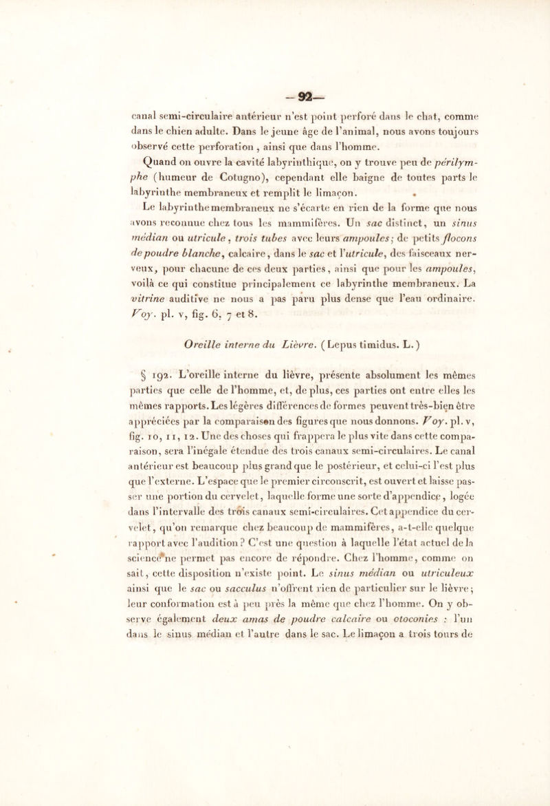 92— canal semi-circulaire antérieur n’est point perforé dans le chat, comme dans le chien adulte. Dans le jeune âge de l’animal, nous avons toujours observé cette perforation , ainsi que dans l’homme. Quand on ouvre la cavité labyrinthique, on y trouve peu de périlym- phe (humeur de Cotugno), cependant elle baigne de toutes parts le labyrinthe membraneux et remplit le limaçon. Le labyrinthe membraneux ne s’écarte en rien de la forme que nous avons reconnue chez tous les mammifères. Un sac distinct, un sinus médian ou Utricule. trois tubes avec leurs ampoules ; de petits flocons de poudre blanche, calcaire, dans le sac et Y utricule, des faisceaux ner- veux, pour chacune de ces deux parties, ainsi que pour les ampoules, voilà ce qui constitue principalement ce labyrinthe membraneux. La vitrine auditive ne nous a pas paru plus dense que l’eau ordinaire. Voj. pl. v, fig. 6, y et 8. Oreille interne du Lièvre. ( Lepus timidus. L.) § 192. L’oreille interne du lièvre, présente absolument les mêmes parties que celle de l’homme, et, déplus, ces parties ont entre elles les mêmes rapports. Les légères différences de formes peuvent très-bien être appréciées par la comparais©n des figures que nous donnons. Voy. pl.v, fig. 10, 11, 12. Une des choses qui frappera le plus vite dans cette compa- raison, sera l’inégale étendue des trois canaux semi-circulaires. Le canal antérieur est beaucoup plus grand que le postérieur, et celui-ci l’est plus que l’externe. L’espace que le premier circonscrit, est ouvert et laisse pas- ser une portion du cervelet, laquelle forme une sorte d’appendice , logée dans l’intervalle des trois canaux semi-circulaires. Cet appendice du cer- velet, qu’on remarque chez beaucoup de mammifères, a-t-elle quelque rapport avec l’audition? C’est une question à laquelle l’état actuel delà science ne permet pas encore de répondre. Chez l’homme, comme on sait, cette disposition n’existe point. Le sinus médian ou ulriculeux ainsi que le sac ou sacculus n’offrent rien de particulier sur le lièvre; leur conformation esta peu près la même que chez l’homme. On y ob- serve également deux amas de poudre calcaire ou otoconies : l’un dans le sinus médian et l’autre dans le sac. Le limaçon a trois tours de