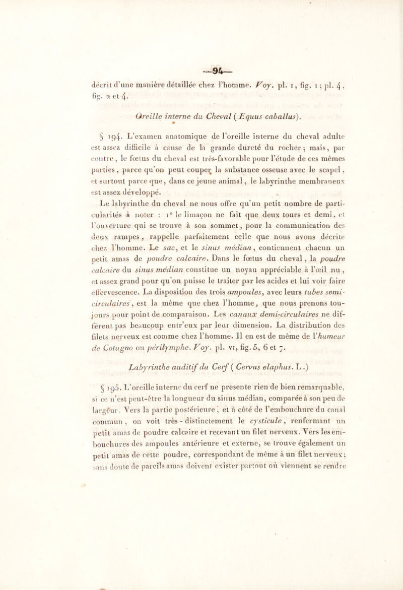 94— décrit d’une manière détaillée chez l’homme. Voy, pl. i, fig. i -, pl. 4 , fig. 9, et 4- Oreille interne du Cheval (Vquus caballus). « § 194. L’examen anatomique de l’oreille interne du cheval adulte est assez difficile à cause de la grande dureté du rocher*, mais, par contre , le fœtus du cheval est très-favorable pour l’étude de ces mêmes parties, parce qu’on peut couper la substance osseuse avec le scapeî , et surtout parce que, dans ce jeune animal, le labyrinthe membraneux est assez développé. Le labyrinthe du cheval ne nous offre qu’un petit nombre de parti- cularités à noter : i° le limaçon ne fait que deux tours et demi, et l’ouverture qui se trouve à son sommet, pour la communication des deux rampes , rappelle parfaitement celle que nous avons décrite chez l’homme. Le sac, et le sinus médian , contiennent chacun un petit amas de poudre calcaire. Dans le fœtus du cheval , la poudre calcaire du sinus médian constitue un noyau appréciable à l’œil nu , et assez grand pour qu’on puisse le traiter par les acides et lui voir faire effervescence. La disposition des trois ampoules, avec leurs tubes semi- circulaires , est la même que chez l’homme, que nous prenons tou- jours pour point de comparaison. Les canaux demi-circulaires ne dif- fèrent pas beaucoup entr’eux par leur dimension. La distribution des filets nerveux est comme chez l’homme. 11 en est de même de Y humeur de Cotugno ou périlymphe. Voy. pl. vt, fig. 5, 6 et 7. Labyrinthe auditif du Cerf ( Cervus elaphus. L .) § 195. L’oreille interne du cerf ne présente rien de bien remarquable, si ce n’est peut-être la longueur du sinus médian, comparée à son peu de largeur. Vers la partie postérieure , et à côté de l’embouchure du canal commun, on voit très - distinctement le cysticule, renfermant un netit amas de poudre calcaire et recevant un filet nerveux. Vers les em- bouchures des ampoules antérieure et externe, se trouve également un petit amas de cette poudre, correspondant de même à un filet nerveux \ sans doute de pareils amas doivent exister partout où viennent se rendre