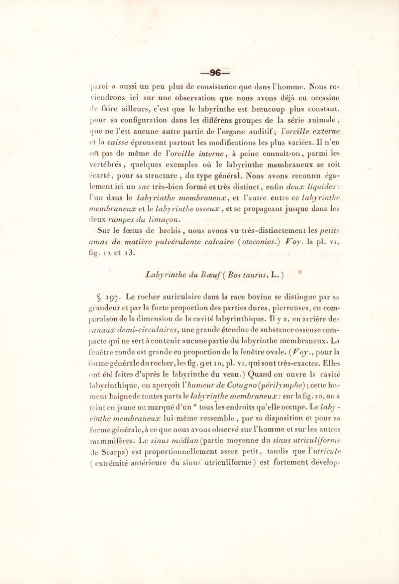 —96— paroi a aussi un peu plus de consistance que dans l’homme. Nous re- viendrons ici sur une observation que nous avons déjà eu occasion de faire ailleurs, c’est que le labyrinthe est beaucoup plus constant, pour sa configuration dans les différens groupes de la série animale , que ne l’est aucune autre partie de l’organe auditif*, Yoreille externe et la caisse éprouvent partout les modifications les plus variées. Il n’en ejft pas de même de Yoreille interne, à peine connaît-on, parmi les vertébrés, quelques exemples où le labyrinthe membraneux se soit écarté, pour sa structure , du type général. Nous avons reconnu éga- lement ici un sac très-bien formé et très distinct, enfin deux liquides: l’un dans le labyrinthe membraneux, et l’autre entre ce labyrinthe membraneux et le labyrinthe osseux , et se propageant jusque dans les deux rampes du limaçon. Sur le fœtus de brebis , nous avons vu très-distinctement les petits amas de matière pulvérulente calcaire (otoconies.) Voy. la pl. vi, fîg. 12 et i3. Labyrinthe du Bœuf ( Bos taurus. L. ) § 197. Le rocher auriculaire dans la race bovine se distingue par sa grandeur et par la forte proportion des parties dures, pierreuses, en com- paraison de la dimension de la cavité labyrinthique. Il y a, en arrière des canaux demi-circulaires, une grande étendue de substance osseuse com- pacte qui ne sert à contenir aucunepartie du labyrinthe membraneux. La fenêtre ronde est grande en proportion de la fenêtre ovale. (Voy., pour la forme générale du rocher, les fig. 9 et io, pl. vi, qui sont très-exactes. Elles ont été faites d’après le labyrinthe du veau.) Quand on ouvre la cavité labyrinthique, on aperçoit Y humeur de Cotugno (jpèrilymphe) *, cette hu- meur baignede toutes parts le labyrinthe membraneux : sur la fig. io, on a teint en jaune ou marqué d’un * tous les endroits qu’elle occupe. Le laby- rinthe membraneux lui-même ressemble , par sa disposition et pour sa forme générale,à ce que nous avons observé sur l’homme et sur les autres mammifères. Le sinus médian (partie moyenne du sinus utriculiforme de Scarpa) est proportionnellement assez petit, tandis quel utricule ( extrémité antérieure du sinus utriculiforme ) est fortement dévelop-