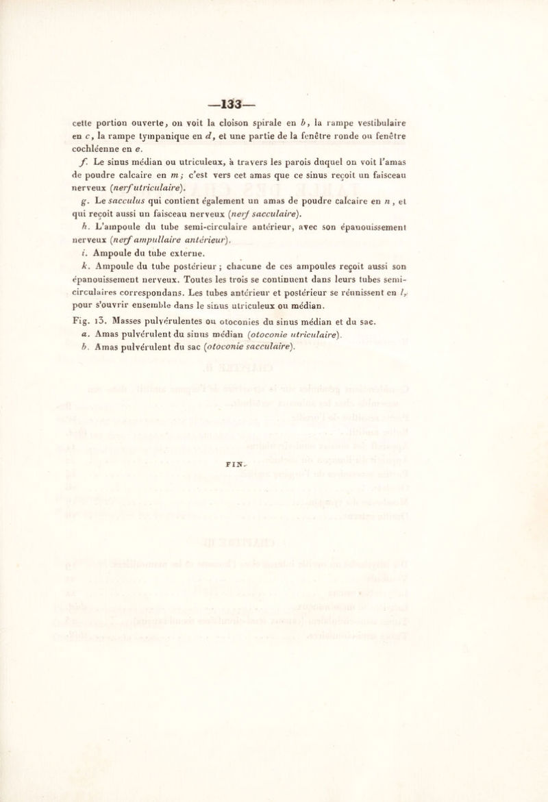 —133— cette portion ouverte, on voit la cloison spirale en b, la rampe vestibulaire en c y la rampe tyinpanique en d, et une partie de la fenêtre ronde ou fenêtre cochlëenne en e. f. Le sinus médian ou utriculeux, a travers les parois duquel on voit Lamas de poudre calcaire en m; c’est vers cet amas que ce sinus reçoit un faisceau nerveux (nerf utriculaire). g. Le sacculus qui contient egalement un amas de poudre calcaire en n, et qui reçoit aussi un faisceau nerveux (nerf sacculaire). h. L’ampoule du tube semi-circulaire anterieur, avec son épanouissement nerveux (nerf ampullaire antérieur)„ i. Ampoule du tube externe. k. Ampoule du tube postérieur ; chacune de ces ampoules reçoit aussi son épanouissement nerveux. Toutes les trois se continuent dans leurs tubes semi- circulaires correspondans. Les tubes anterieur et postérieur se réunissent en /, pour s’ouvrir ensemble dans le sinus utriculeux ou médian. Fig. i3. Masses pulvérulentes ou otoconies du sinus médian et du sac. a. Amas pulvérulent du sinus médian (otoconie utriculaire). h. Amas pulvérulent du sac [otoconie s acculaire). FI No-