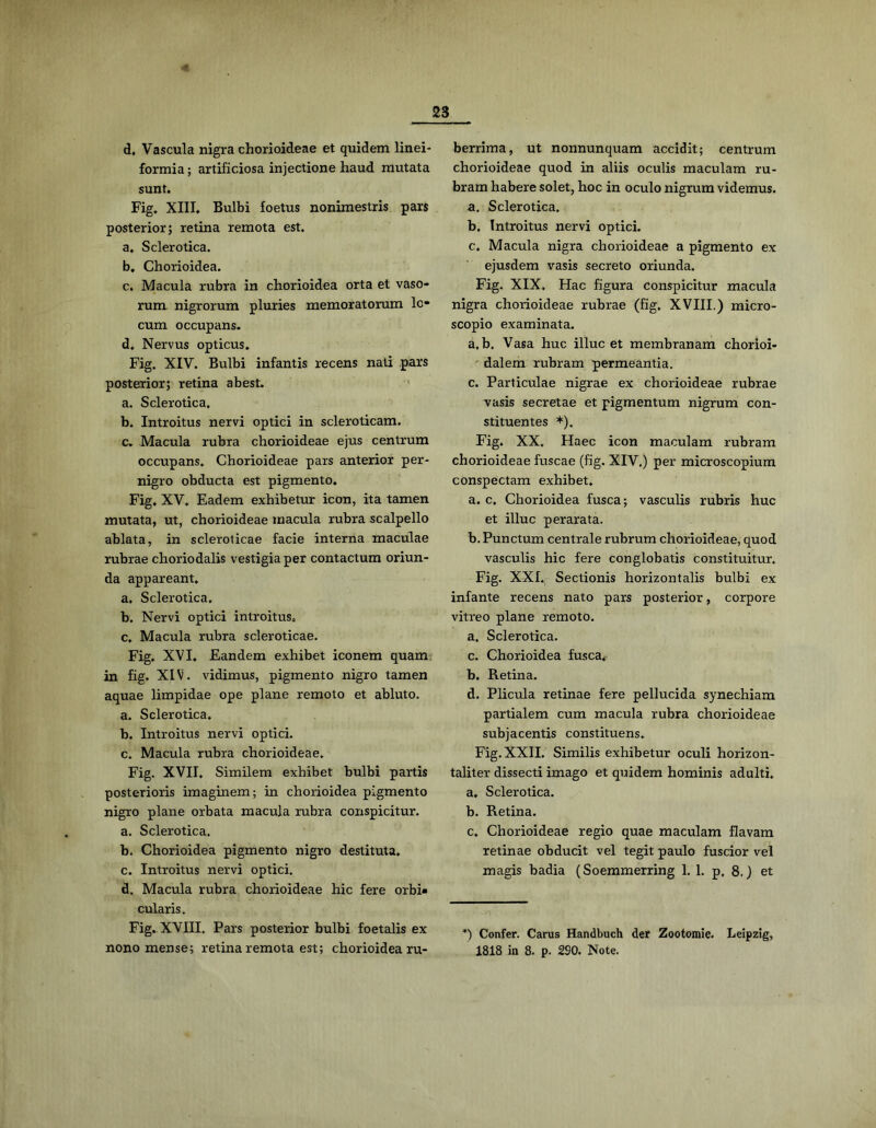 d. Vascula nigra chorioideae et quidem linei- formia; artificiosa injectione haud mutata sunt. Fig, XIII. Bulbi foetus nonimestris pars posterior; retina remota est. a. Sclerotica. b. Chorioidea. c. Macula rubra in chorioidea orta et vaso- rum nigrorum pluries memoratorum lo- cum occupans. d. Nervus opticus. Fig. XIV. Bulbi infantis recens nati pars posterior; retina abest. ' a. Sclerotica. b. Introitus nervi optici in scleroticam. c. Macula rubra chorioideae ejus centrum occupans. Chorioideae pars anterior per- nigro obducta est pigmento. Fig. XV. Eadem exhibetur icon, ita tamen mutata, ut, chorioideae macula rubra scalpello ablata, in scleroticae facie interna maculae rubrae choriodalis vestigia per contactum oriun- da appareant. a. Sclerotica, b. Nervi optici introitus. c. Macula rubra scleroticae. Fig. XVI. Eandem exhibet iconem quam, in fig. XIV. vidimus, pigmento nigro tamen aquae limpidae ope plane remoto et abluto. a. Sclerotica. b. Introitus nervi optici. c. Macula rubra chorioideae, Fig. XVII. Similem exhibet bulbi partis posterioris imaginem; in chorioidea pigmento nigro plane orbata macula rubra conspicitur. a. Sclerotica. b. Chorioidea pigmento nigro destituta. c. Introitus nervi optici. d. Macula rubra chorioideae hic fere orbi- cularis. Fig. XVni. Pars posterior bulbi foetalis ex nono mense; retina remota est; chorioidea ru- berrima, ut nonnunquam accidit; centrum chorioideae quod in aliis oculis maculam ru- bram habere solet, hoc in oculo nigrum videmus. a. Sclerotica. b. Introitus nervi optici. c. Macula nigra chorioideae a pigmento ex ejusdem vasis secreto oriunda. Fig. XIX. Hac figura conspicitur macula nigra chorioideae rubrae (fig. XVIII.) micro- scopio examinata. a. b. Vasa huc illuc et membranam chorioi- ' dalem rubram permeantia. c. Particulae nigrae ex chorioideae rubrae vasis secretae et pigmentum nigrum con- stituentes *). Fig. XX. Haec icon maculam rubram chorioideae fuscae (fig. XIV.) per microscopium conspectam exhibet. a. c. Chorioidea fusca; vasculis rubris huc et illuc perarata. b. Punctum centrale rubrum chorioideae, quod vasculis hic fere conglobatis constituitur. Fig. XXI. Sectionis horizontalis bulbi ex infante recens nato pars posterior, corpore vitreo plane remoto. a. Sclerotica. c. Chorioidea fusca. b. Retina. d. Plicula retinae fere pellucida synechiam partialem cum macula rubra chorioideae subjacentis constituens. Fig. XXII. Similis exhibetur oculi horizon- taliter dissecti imago et quidem hominis adulti. a. Sclerotica. b. Retina. c. Chorioideae regio quae maculam flavam retinae obducit vel tegit paulo fuscior vel magis badia (Soemmerring 1. 1. p. 8.) et *) Confer. Carus Handbuch der Zootomie. Leipzig, 1818 in 8. p. 290. Note.