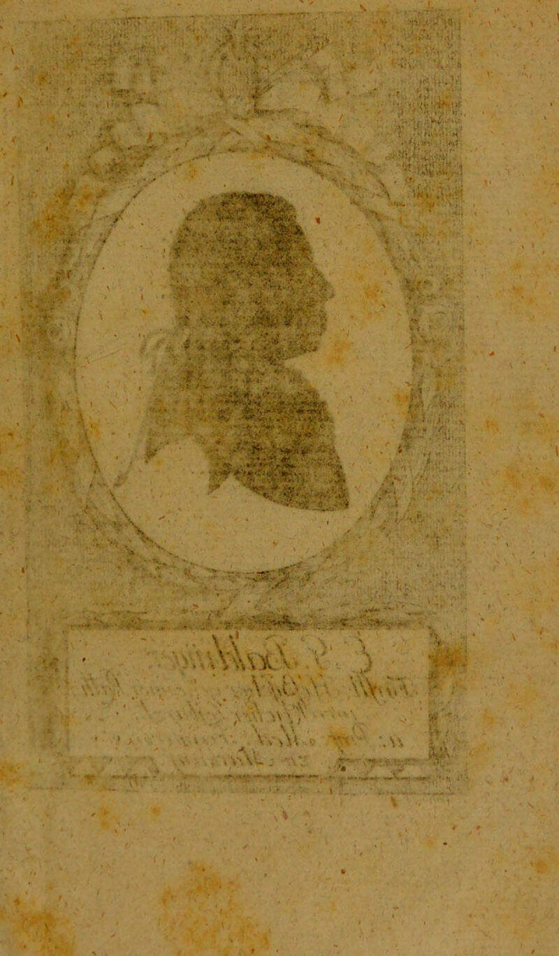 ... ... s ' <; . v v- ■ . .... ... • . V ft ' ■ « *  'il» ' - v ' ' -- ,• ir $ ■ . 1 ; - ,W- , • - ** .... 7 > •/ .. ■* & . »* v ,» *****■». •' v. IV .-«r **■ -kd&ttk - * • / Ii  f ■' y .sr\ H. 4 •:■ • y« •• i,V V . 4 * ....V' /• .;T y • i i m » : ' /f* • v. . ■- 'Sf' • •.i. . r.-^V, <<%iwA ..rfT * ' ' 5' ' > > i • ’ i V ;. 1 % V - ' ■ • 4 A v -?f||vl ^-r ' ■■■ •• ■ \ ' • ■ ' v i i.- -•>' •' R. • .*..• M,;4rt)rl..; f-\Ss..v jfr V »f'\_  ‘ . fvH’\ /S ^ ’ - .. ^ ' r f.S. '• •' • ■ IU \ • ■ ; -'''■- ■ t-C ■ > >- i-1 5. -^y- • . •. '.\ •.. v.' $j§ \ \\L' \\ ■- '\Y '»*'• ' *\ , -' ••. '<•.• ‘Wf • :.u \ >. ■ .»\\. ;• .w. <?•■:■•■-->■■' %V «* - •* • .• i—v—f —* • .■ i /