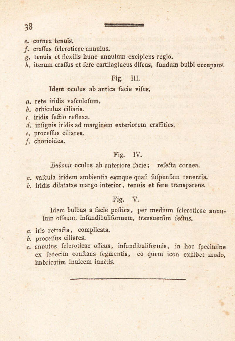 u cornea tenuis, /. craffus fcieroticae annulus. g. tenuis et flexilis hunc annulum excipiens regio, h, iterum craffus et fere cartilagineus difcus, fundum bulbi occupans. Fig. III. Idem oculus ab antica facie vifus, a. rete iridis vafculofum. h. orbiculus ciliaris. c. iridis feftio reflexa. d. infignis iridis ad marginem exteriorem craffities, e. proceffus ciliares. /. chorioidea, Fig. IV, ‘Bubonis oculus ab anteriore facie; refetta cornea. a. vafcula iridem ambientia eamque quafi fufpenfam tenentia, b. iridis dilatatae margo interior, tenuis et fere transparens. Fig. V. Idem bulbus a facie poftica, per medium fcieroticae annu- lum offeum, infundibuliformem, transuerfim feftus. a. iris retra&a, complicata. b. proceffus ciliares. c. annulus fcieroticae offeus, infundibuliformis, in hoc fpecimine ex fedecim conflans fegmentis, eo quem icon exhibet modo, imbricarim inuicem iunftis.
