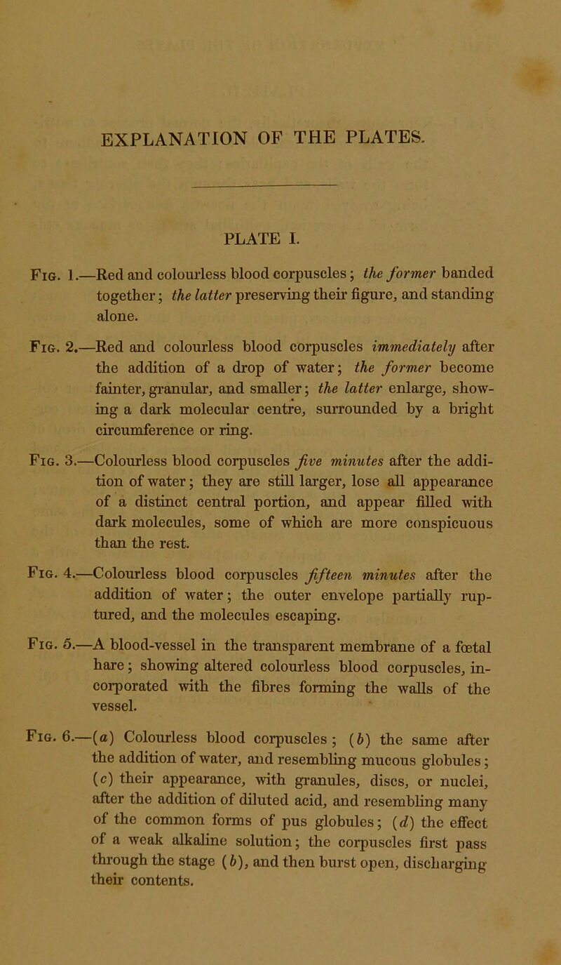 EXPLANATION OF THE PLATES. PLATE I. Fig. 1.—Red and colourless blood corpuscles; the former banded together; the latter preserving their figure, and standing alone. Fig. 2.—Red and colourless blood corpuscles immediately after the addition of a drop of water; the former become fainter, granular, and smaller; the latter enlarge, show- ing a dark molecular centre, surrounded by a bright circumference or ring. Fig. 3.—Colourless blood corpuscles five minutes after the addi- tion of water; they are still larger, lose all appearance of a distinct central portion, and appear filled with dark molecules, some of which are more conspicuous than the rest. Fig. 4.—Colourless blood corpuscles fifteen minutes after the addition of water; the outer envelope partially rup- tured, and the molecules escaping. Fig. 5.—A blood-vessel in the transparent membrane of a fcetal hare; showing altered colourless blood corpuscles, in- corporated with the fibres forming the walls of the vessel. Fig. 6.—(a) Colourless blood corpuscles ; (6) the same after the addition of water, and resembling mucous globules; (c) their appearance, with granules, discs, or nuclei, after the addition of diluted acid, and resembling many of the common forms of pus globules; (d) the effect of a weak alkaline solution; the corpuscles first pass through the stage (6), and then burst open, discharging their contents.