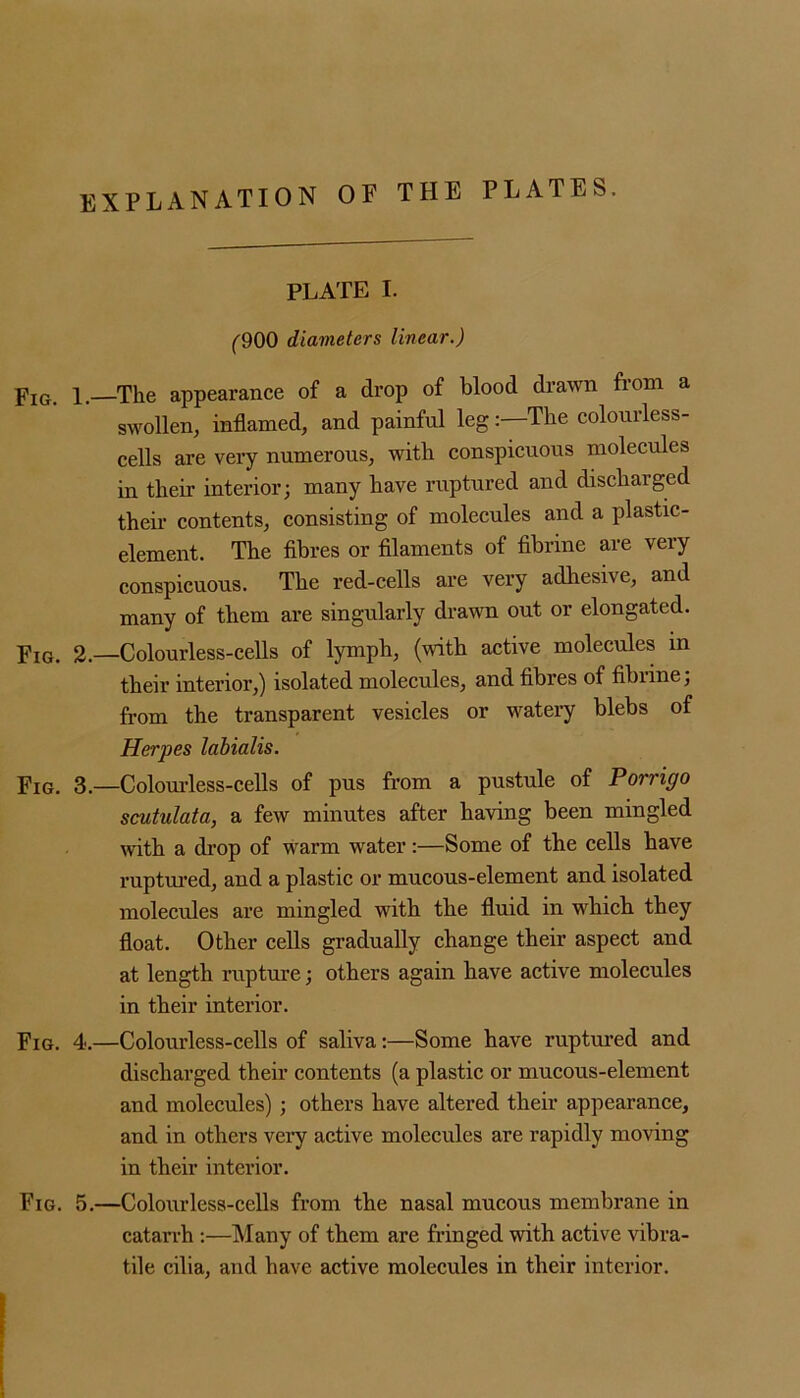 EXPLANATION OF THE PLATES. PLATE I. (900 diameters linear.) pIG. i. The appearance of a drop of blood drawn from a swollen, inflamed, and painful leg:—The colourless- cells are very numerous, with conspicuous molecules in their interior; many have ruptured and discharged their contents, consisting of molecules and a plastic- element. The fibres or filaments of fibrine are very conspicuous. The red-cells are very adhesive, and many of them are singularly drawn out or elongated. Fig. 2.—Colourless-cells of lymph, (with active molecules in their interior,) isolated molecules, and fibres of fibrine; from the transparent vesicles or watery blebs of Herpes labialis. Fig. 3.—Colourless-cells of pus from a pustule of Porrigo scutulata, a few minutes after having been mingled with a drop of warm water:—Some of the cells have ruptured, and a plastic or mucous-element and isolated molecules are mingled with the fluid in which they float. Other cells gradually change their aspect and at length rupture; others again have active molecules in their interior. Fig. 4.—Colourless-cells of saliva:—Some have ruptured and discharged their contents (a plastic or mucous-element and molecules) ; others have altered their appearance, and in others very active molecules are rapidly moving in their interior. Fig. 5.—Colourless-cells from the nasal mucous membrane in catarrh :—Many of them are fringed with active vibra- tile cilia, and have active molecules in their interior.