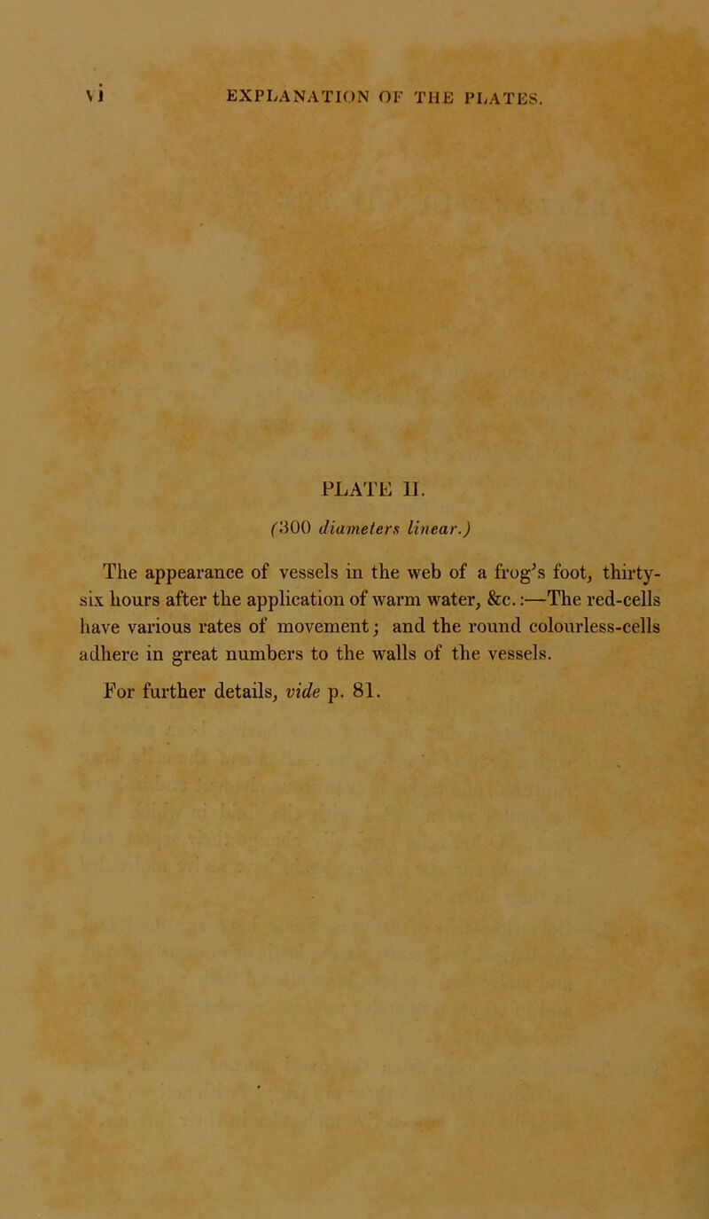 \ j PLATE II. (300 diameters linear.) The appearance of vessels in the web of a frog’s foot, thirty- six hours after the application of warm water, &c.:—The red-cells have various rates of movement; and the round colourless-cells adhere in great numbers to the walls of the vessels. For further details, vide p. 81.