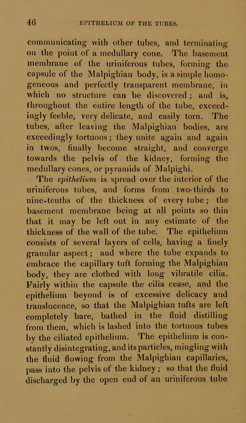 communicating with other tubes, and terminating on the point of a medullary cone. The basement membrane of the uriniferous tubes, forming the capsule of the Malpighian body, is a simple homo- geneous and perfectly transparent membrane, in which no structure can be discovered ; and is, throughout the entire length of the tube, exceed- ingly feeble, very delicate, and easily torn. The tubes, after leaving the Malpighian bodies, are exceedingly tortuous; they unite again and again in twos, finally become straight, and converge towards the pelvis of the kidney, forming the medullary cones, or pyramids of Malpighi. The epithelium is spread over the interior of the uriniferous tubes, and forms from two-thirds to nine-tenths of the thickness of every tube; the basement membrane being at all points so thin that it may be left out in any estimate of the thickness of the wall of the tube. The epithelium consists of several layers of cells, having a finely granular aspect; and where the tube expands to embrace the capillary tuft forming the Malpighian body, they are clothed with long vibratile cilia. Fairly within the capsule the cilia cease, and the epithelium beyond is of excessive delicacy and translucence, so that the Malpighian tufts are left completely bare, bathed in the fluid distilling from them, which is lashed into the tortuous tubes by the ciliated epithelium. The epithelium is con- stantly disintegrating, and its particles, mingling with the fluid flowing from the Malpighian capillaries, pass into the pelvis of the kidney; so that the fluid discharged by the open end of an uriniferous tube