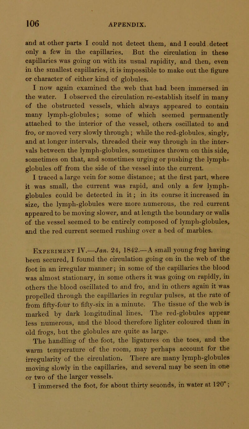 and at other parts I could not detect them, and I could , detect only a few in the capillaries. But the circulation in these capillaries was going on with its usual rapidity, and then, even in the smallest capillaries, it is impossible to make out the figure or character of either kind of globules. I now again examined the web that had been immersed in the water. I observed the circulation re-establish itself in many of the obstructed vessels, which always appeared to contain many lymph-globules; some of which seemed permanently attached to the interior of the vessel, others oscillated to and fro, or moved very slowly through ; while the red-globules, singly, and at longer intervals, threaded their way through in the inter- vals between the lymph-globules, sometimes thrown on this side, sometimes on that, and sometimes urging or pushing the lymph- globules off from the side of the vessel into the current. I traced a large vein for some distance; at the first part, where it was small, the current was rapid, and only a few lymph- globules could be detected in it; in its course it increased in size, the lymph-globules were more numerous, the red current appeared to be moving slower, and at length the boundary or walls of the vessel seemed to be entirely composed of lymph-globules, and the red current seemed rushing over a bed of marbles. Experiment IV.—Jan. 24, 1842.—A small young frog having been secured, I found the circulation going on in the web of the foot in an irregular manner; in some of the capillaries the blood was almost stationary, in some others it was going on rapidly, in others the blood oscillated to and fro, and in others again it was propelled through the capillaries in regular pulses, at the rate of from fifty-four to fifty-six in a minute. The tissue of the web is marked by dark longitudinal lines. The red-globules appear less numerous, and the blood therefore lighter coloured than in old frogs, but the globules are quite as large. The handling of the foot, the ligatures on the toes, and the warm temperature of the room, may perhaps account for the irregularity of the circulation. There are many lymph-globules moving slowly in the capillaries, and several may be seen in one or two of the larger vessels. I immersed the foot, for about thirty seconds, in water at 120°;