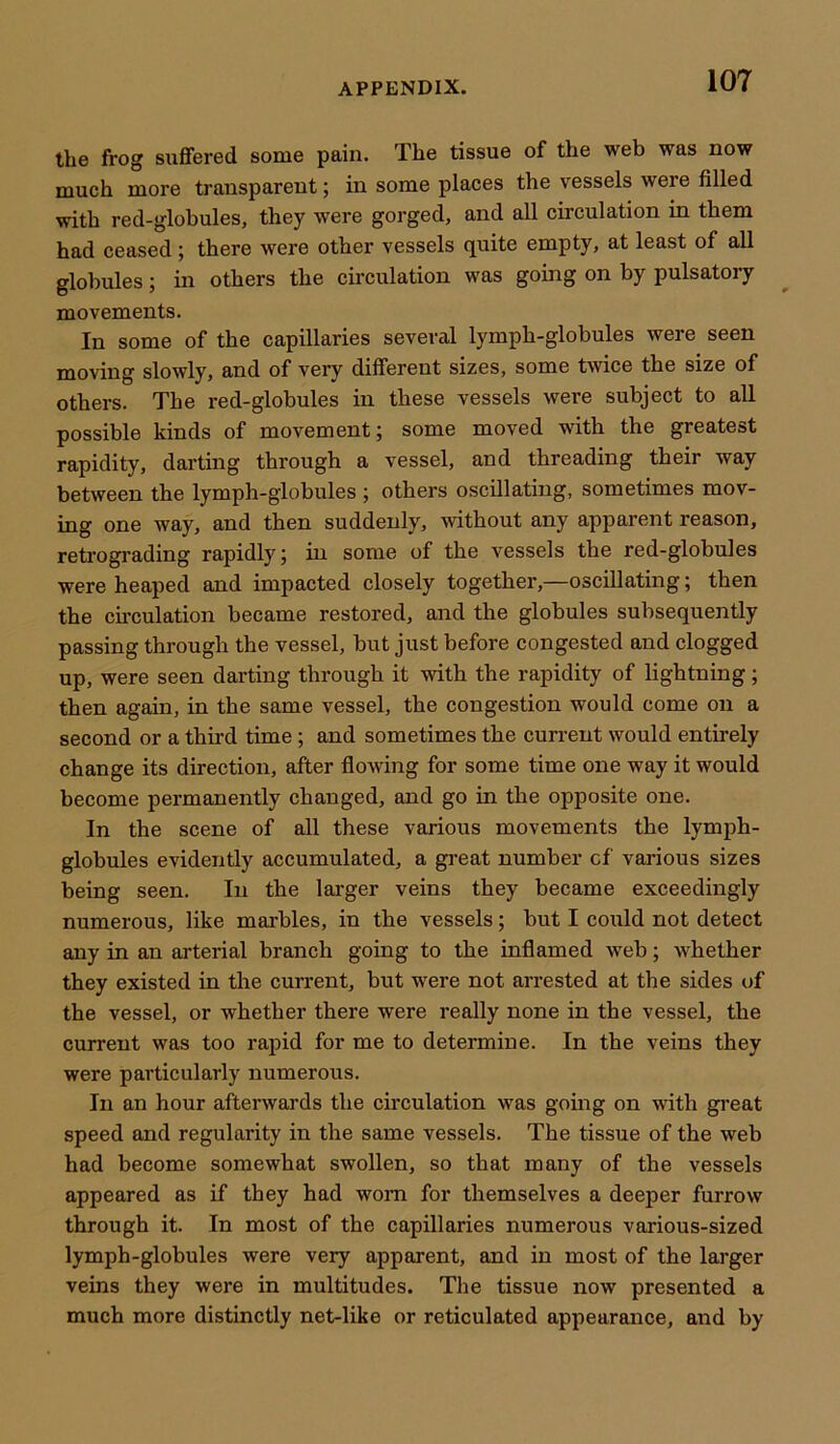 the frog suffered some pain. The tissue of the web was now much more transparent; in some places the vessels weie filled with red-globules, they were gorged, and all circulation in them had ceased ; there were other vessels quite empty, at least of all globules; in others the circulation was going on by pulsatory movements. In some of the capillaries several lymph-globules were seen moving slowly, and of very different sizes, some twice the size of others. The red-globules in these vessels were subject to all possible kinds of movement; some moved with the greatest rapidity, darting through a vessel, and threading their way between the lymph-globules ; others oscillating, sometimes mov- ing one way, and then suddenly, without any apparent reason, retrograding rapidly; in some of the vessels the red-globules were heaped and impacted closely together,—oscillating; then the circulation became restored, and the globules subsequently passing through the vessel, but just before congested and clogged up, were seen darting through it with the rapidity of lightning; then again, in the same vessel, the congestion would come on a second or a third time; and sometimes the current would entirely change its direction, after flowing for some time one way it would become permanently changed, and go in the opposite one. In the scene of all these various movements the lymph- globules evidently accumulated, a great number cf various sizes being seen. In the larger veins they became exceedingly numerous, like marbles, in the vessels; but I could not detect any in an arterial branch going to the inflamed web; whether they existed in the current, but were not arrested at the sides of the vessel, or whether there were really none in the vessel, the current was too rapid for me to determine. In the veins they were particularly numerous. In an hour afterwards the circulation was going on with great speed and regularity in the same vessels. The tissue of the web had become somewhat swollen, so that many of the vessels appeared as if they had worn for themselves a deeper furrow through it. In most of the capillaries numerous various-sized lymph-globules were very apparent, and in most of the larger veins they were in multitudes. The tissue now presented a much more distinctly net-like or reticulated appearance, and by