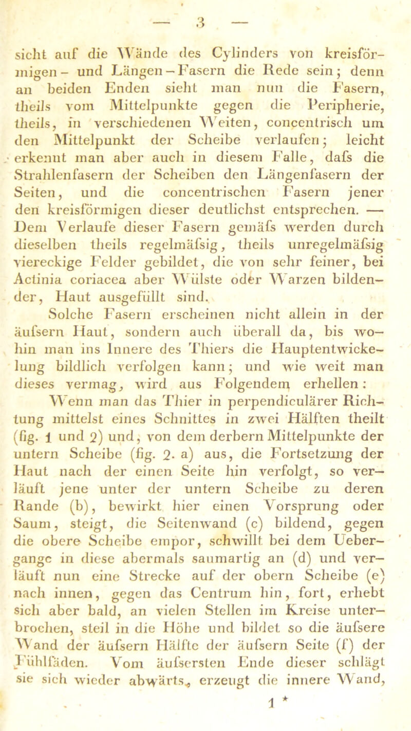 sicht auf die Wände des Cylinders von kreisför- migen- und Längen— Fasern die Rede sein; denn an beiden Enden sieht man nun die Fasern, theils vom Mittelpunkte gegen die Peripherie, tlieils, in verschiedenen Weiten, concentriscli um den Mittelpunkt der Scheibe verlaufen; leicht erkennt man aber auch in diesem Falle, dafs die Strahlenfasern der Scheiben den Längenlasern der Seiten, und die concentrischen Fasern jener den kreisförmigen dieser deutlichst entsprechen. — Dem Verlaufe dieser Fasern gemafs werden durch dieselben theils regelmäfsig, theils unregelmäfsig viereckige Felder gebildet, die von sehr feiner, bei Actinia coriacea aber Wülste oder Warzen bilden- der, Haut ausgefüllt sind. Solche Fasern erscheinen nicht allein in der äufsern Haut, sondern auch überall da, bis avo— hin man ins Innere des Thiers die Hauptentwicke- lung bildlich verfolgen kann; und wie Aveit man dieses vermag, AAird aus Folgendem erhellen: Wenn man das Thier in perpendiculärer Rich- tung mittelst eines Schnittes in ZAvei Hälften theilt (fig. i und 2) und, von dem derbem Mittelpunkte der untern Scheibe (fig. 2- a) aus, die Fortsetzung der Haut nach der einen Seite hin verfolgt, so ver- läuft jene unter der untern Scheibe zu deren Rande (b), bewirkt hier einen V orsprung oder Saum, steigt, die Seitemvand (c) bildend, gegen die obere Scheibe empor, schAvillt. bei dem Ueber- gangc in diese abermals saumartig an (d) und ver- läuft nun eine Strecke auf der obern Scheibe (e) nach innen, gegen das Centrum hin, fort, erhebt sich aber bald, an vielen Stellen im Kreise unter- brochen, steil in die Höhe und bildet so die äulsere Wand der äufsern Hälfte der äufsern Seite (f) der lühlfäden. Vom äufsersten Ende dieser schlägt sie sich wieder ab\värts< erzeugt die innere Wand,