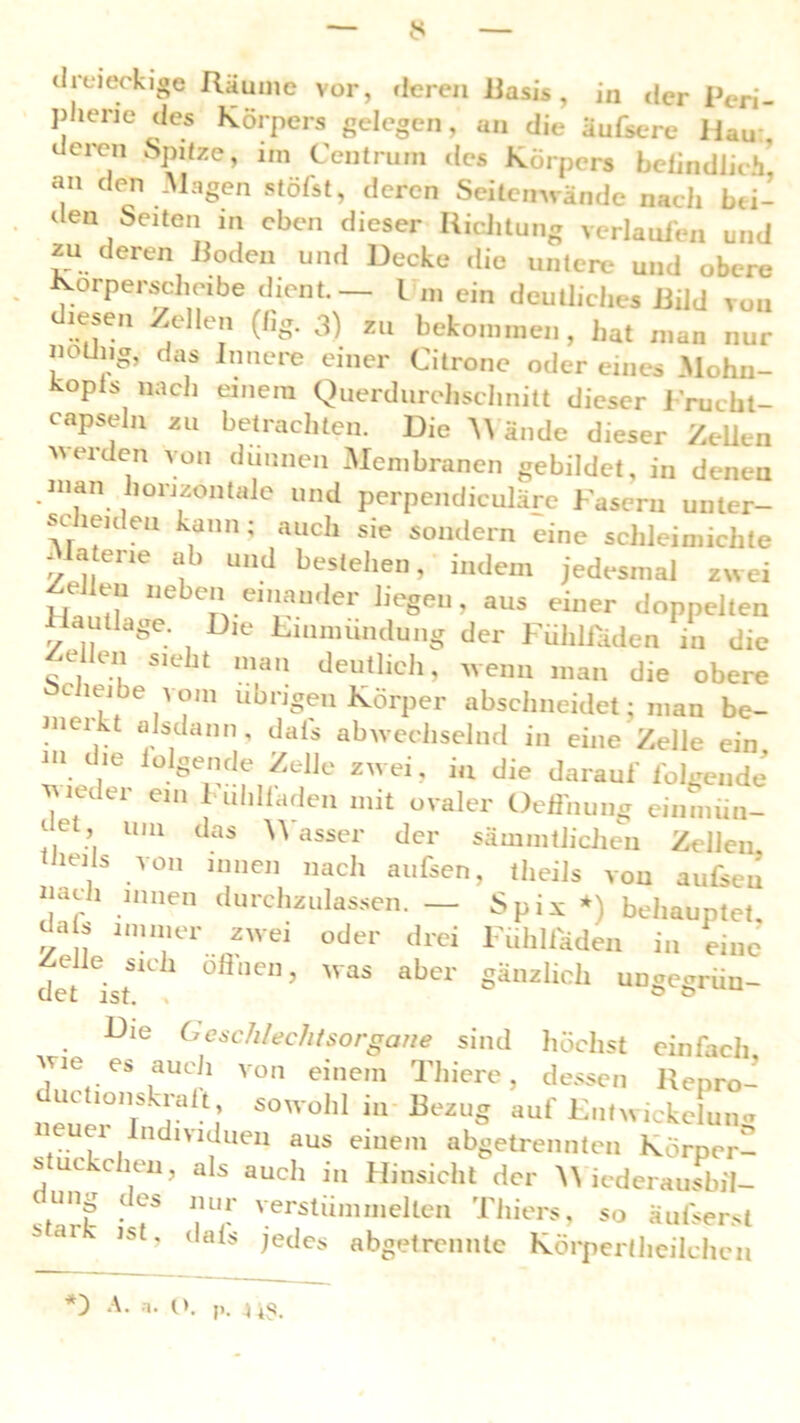 dreieckige Räume vor, deren Basis , in der Peri- pherie des Körpers gelegen, an die aufscre Hau, deren Spitze, im Centrum des Körpers befindlich, an den Magen stöfst, deren Seitenwände nach bei- den Seiten nt eben dieser Richtung verlaufen und zu deren Roden und Decke die untere und obere Korpersclieibe dient.— I m ein deutliches Rild von diesen Zellen (fig. 3) zu bekommen, hat man nur noLhig, das Innere einer Citrone oder eines Mohn- Kopis nach einem Querdurehschnitt dieser Frucht- eapseln zu betrachten. Die Man de dieser Zellen werden von dünnen Membranen gebildet, in denen .man horizontale und perpendiculärc Fasern unter- scheiden kann; auch sie sondern Hne schleim,chte ilatene ab und bestehen, indem jedesmal zwei Zellen neben einander liegen, aus einer doppelten Hautlage. Die Lmmundung der Fühlfäden in die f?Ie“ S,eht 1113,1 deutlich, wenn man die obere cheibe vom übrigen Körper abschneidet; man be- merkt alsdann, dafs abwechselnd in eine Zelle ein m die lolgende Zelle zwei, in die darauf folgende vw<-ter ein 1 uhlfaden mit ovaler Oefinung einmün- ’ um das Wasser der sämmtlichen Zellen tlieils von innen nach aufsen, theils von aufseu nach innen durchzulassen. — Spix *) behauptet, uais immer zwei oder drei ’ • öfinen, was aber 1' uhliäden in eine gänzlich ungegriin- Zelle sich det ist. , Die Geschlechtsorgane sind höchst einfach \Vie es auch von einem Thiere, dessen Repro- ductionskraft, sowohl in Bezug auf Entwickeln« UeU^1 . Hd'viduen aus einem abgetrennten Körper- suc cien, als auch in Hinsicht der M iederausbil- ung (es nur verstümmelten Thiers, so äufserst b ar lst’ dais iedes abgetrennte Körpertheilchen *) A. a. o. !>• 4 iS.