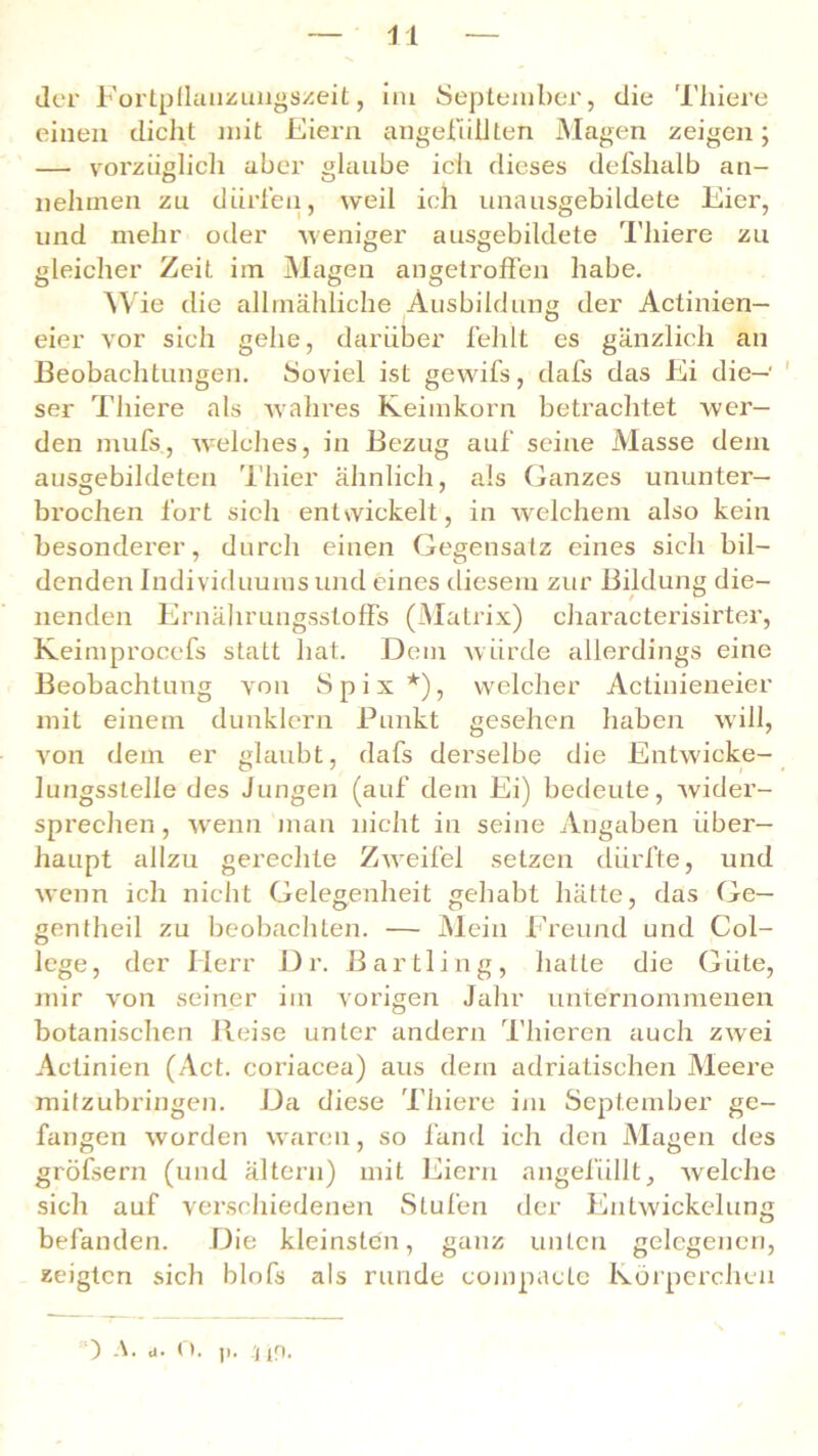 der Fortpllanzungszeit, im September, die Thiere einen diclit mit Eiern ungefüllten Magen zeigen; — vorzüglich aber glaube ich dieses defshalb an- nehmen zu dürfen, weil ich unausgebildete Eier, und mehr oder weniger ausgebildete Thiere zu gleicher Zeit im Magen angetroffen habe. W ie die allmähliche Ausbildung der Actinien— eier vor sich gehe, darüber fehlt es gänzlich an Beobachtungen. Soviel ist gewifs, dafs das Ei die—' ser Thiere als wahres Keimkorn betrachtet wer- den mufs., welches, in Bezug auf seine Masse dem ausgebildeten Thier ähnlich, als Ganzes ununter- brochen fort sich entwickelt, in welchem also kein besonderer, durch einen Gegensatz eines sich bil- denden Individuums und eines diesem zur Bildung die- nenden Ernährungsstoffs (Matrix) characterisirter, Keimprocefs statt hat. Dem würde allerdings eine Beobachtung von Spix*), welcher Actinieneier mit einem dunklern Punkt gesehen haben will, von dem er glaubt, dafs derselbe die Entwicke- lungsstelle des Jungen (auf dem Ei) bedeute, wider- sprechen , wenn man nicht in seine Angaben über- haupt allzu gerechte Zweifel setzen dürfte, und wenn ich nicht Gelegenheit gehabt hätte, das Ge— gentheil zu beobachten. — Mein Freund und Col- lege, der Herr Dr. Bartling, hatte die Güte, mir von seiner im vorigen Jahr unternommenen botanischen Reise unter andern Tliieren auch zwei Actinien (Act. coriacea) aus dem adriatischen Meere mitzubringen. Da diese Thiere im September ge- fangen worden waren, so fand ich den Magen des gröfsern (und altern) mit Eiern angefüllt, welche sich auf verschiedenen Stufen der Entwickelung befanden. Die kleinsten, ganz unten gelegenen, zeigten sich blofs als runde compacte Körperchen 0 A. d. O. |i. .Up.