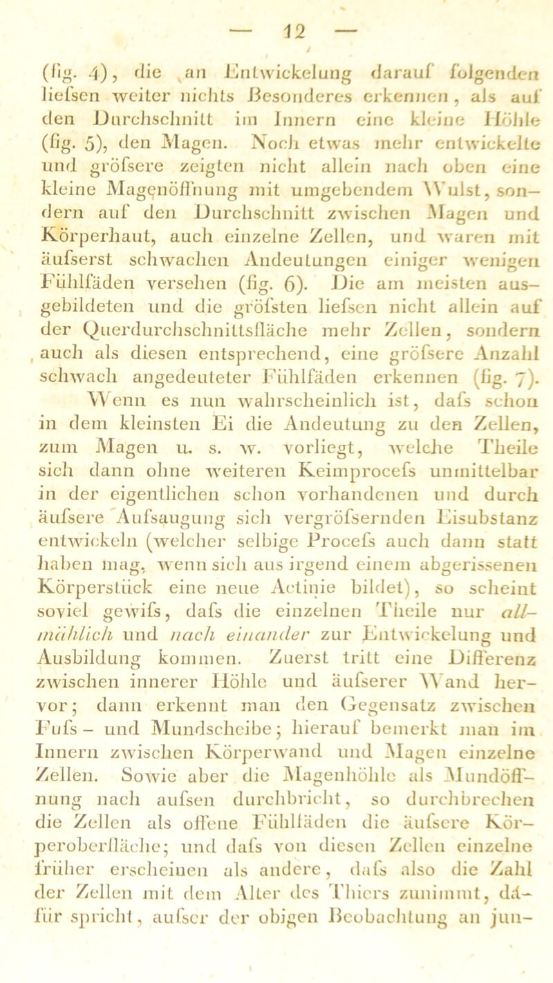 J (fig. 4), die an Entwickelung darauf folgenden liefsen weiter nichts Besonderes erkennen , als auf den Durchschnitt im Innern eine kleine Höhle (fig. 5), den Magen. Noch etwas mehr entwickelte und gröfsere zeigten nicht allein nach oben eine kleine Mag^nöffnung mit umgebendem Wulst, son- dern auf den Durchschnitt zwischen Magen und Körperhaut, aucli einzelne Zellen, und waren mit äufserst schwachen Andeutungen einiger wenigen Fuhlfäden versehen (fig. 6). Die am meisten aus- gebildeten und die gröbsten liefsen nicht allein auf der Querdurchschnittslläche mehr Zellen, sondern auch als diesen entsprechend, eine gröfsere Anzahl schwach angedeuteter Fühlfäden erkennen (fig. 7). Wenn es nun wahrscheinlich ist, dafs schon in dem kleinsten Fi die Andeutung zu den Zellen, zum Magen u, s. w. vorliegt, welche Theile sich dann ohne weiteren Keimprocefs unmittelbar in der eigentlichen schon vorhandenen und durch äufsere Aufsaugung sich vergröfsernden Fisubslanz entwickeln (welcher selbige Procefs auch dann statt haben mag, wenn sich aus irgend einem abgerissenen Körperstück eine neue Aclinie bildet), so scheint soviel gewifs, dafs die einzelnen Theile nur all- mählich und nach einander zur Entwickelung und Ausbildung kommen. Zuerst tritt eine Differenz zwischen innerer Höhle und äufserer Wand her- vor- dann erkennt man den Gegensatz zwischen Fufs - und Mundscheibe; hierauf bemerkt man im Innern zwischen Körperwand und Magen einzelne Zellen. Sowie aber die Magenhöhle als Mundöfl- nung nach aufsen durchbricht, so durchbrechen die Zellen als offene Fühlläden die äufsere Kör- peroberiläche; und dafs von diesen Zellen einzelne früher erscheinen als andere, dafs also die Zahl der Zellen mit dem Alter des Thiers zunimmt, dä- fii.r spricht, aufscr der obigen Beobachtung an jun- I