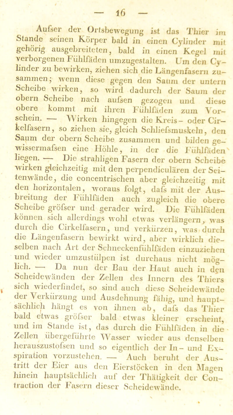 Aufser der Ortsbewegung ist das Thier im Stande seinen Körper bald in einen Cylinder mit gehörig ausgebreiteten, bald in einen Kegel mit verborgenen Fühlfäden umzugestalten. LTin den Cy- linder zu bewirken, ziehen sich die Längenfasern zu- sammen • wenn diese gegen den Saum der untern Scheibe wirken, so wird dadurch der Saum der obern Scheibe nach aufsen gezogen und diese obere kommt mit ihren Fühlfäden zum Vor- schein. • Wirken hingegen die Kreis— oder Cir— kelfasern, so ziehen sie, gleich Schliefsmuskeln, den Saum der obern Scheibe zusammen und bilden ge- wissermafsen eine Höhle, in der die Fühlfäden liegen. Die strahligen Fasern der obern Scheibe wirken gleichzeitig mit den perpendiculären der Sei— tenwände, die eoncentrischen aber gleichzeitig mit den horizontalen, woraus folgt, dafs mit der Aus- breitung der Fühlfäden auch zugleich die obere Scheibe gröfser und gerader wird. Die Fühlfäden können sich allerdings wohl etwas verlängern^ was duich die Cirkelfasern, und verkürzen, was durch die Längenfasern bewirkt wird, aber wirklich die- selben nach Art der Schneckenfühlladen einzuziehen und wieder umzustülpen ist durchaus nicht mög- lich* Da nun der Bau der Haut auch in den Scheidewänden der Zellen des Innern des Thiers sich wieder findet, so sind auch diese Scheidewände der Verkürzung und Ausdehnung fällig, und haupt- sächlich hängt es von ihnen ab, dafs das Thier bald etwas gröfser bald etwas kleiner erscheint, und im Stande ist, das durch die Fühl faden in die Zellen übergeführte Wasser wieder aus denselben herauszustofsen und so eigentlich der In- und Ex- spiration vorzustehen. — Auch beruht der Aus- tritt der Eier aus den Eierslöcken in den Magen hinein hauptsächlich auf der Thäligkeit der Con- traction der fasern dieser Scheidewände.