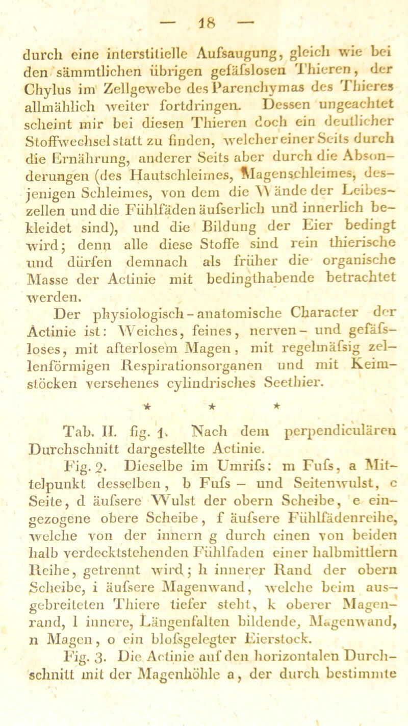 durch eine interstitielle Aufsaugung, gleich wie bei den sämmtlichen übrigen gefäfslosen Thieren, der Chylus im Zellgewebe des Parenchymas des Thieres allmählich weiter fortdringen. Dessen ungeachtet scheint mir bei diesen Thieren doch ein deutlicher Stoffwechsel statt zu finden, welcher einer Seils durch die Ernährung, anderer Seits aber durch die Abson- derungen (des Hautschleimes, Magenschleimes, des- jenigen Schleimes, von dem die \\ ände der Leibes- zellen und die Fühlfäden äufserlich un'd innerlich be- kleidet sind), und die Bildung der Eier bedingt wird; denn alle diese Stoffe sind rein thierische und dürfen demnach als früher die organische Masse der Actinie mit bedingthabende betrachtet werden. Der physiologisch - anatomische Character der Actinie ist: Weiches, feines, nerven- und gefäfs- loses, mit afterlosem Magen, mit regelmäfsig zel- lenförmigen Respirationsorganen und mit Keim- stöcken versehenes cylindrisches Seethier. * * * Tab. II. fig. Iw Nach dem perpendiculären Durchschnitt dargestellte Actinie. Fig. 2» Dieselbe im Lünrifs: m Fufs, a Mit- telpunkt desselben, b Fufs — und Seitenwulst, c Seile, d äufsere Wulst der obern Scheibe, e eiu- gezogene obere Scheibe, f äufsere Fiihlfädenrcihe, welche von der innern g durch einen von beiden halb verdecktstehenden Fühlfaden einer halbmittlern Reihe, getrennt wird.; h innerer Rand der obern Scheibe, i äufsere Magenwand, welche beim aus— gebreiteten Tliiere tiefer steht, k oberer Magen- rand, 1 innere, Längenfalten bildende, Magenwand, n Magen, o ein blofsgelegter Eierstock. Fig. 3. Die Actinie auf den horizontalen Durch- schnitt mit der Magenhöhle a, der durch bestimmte