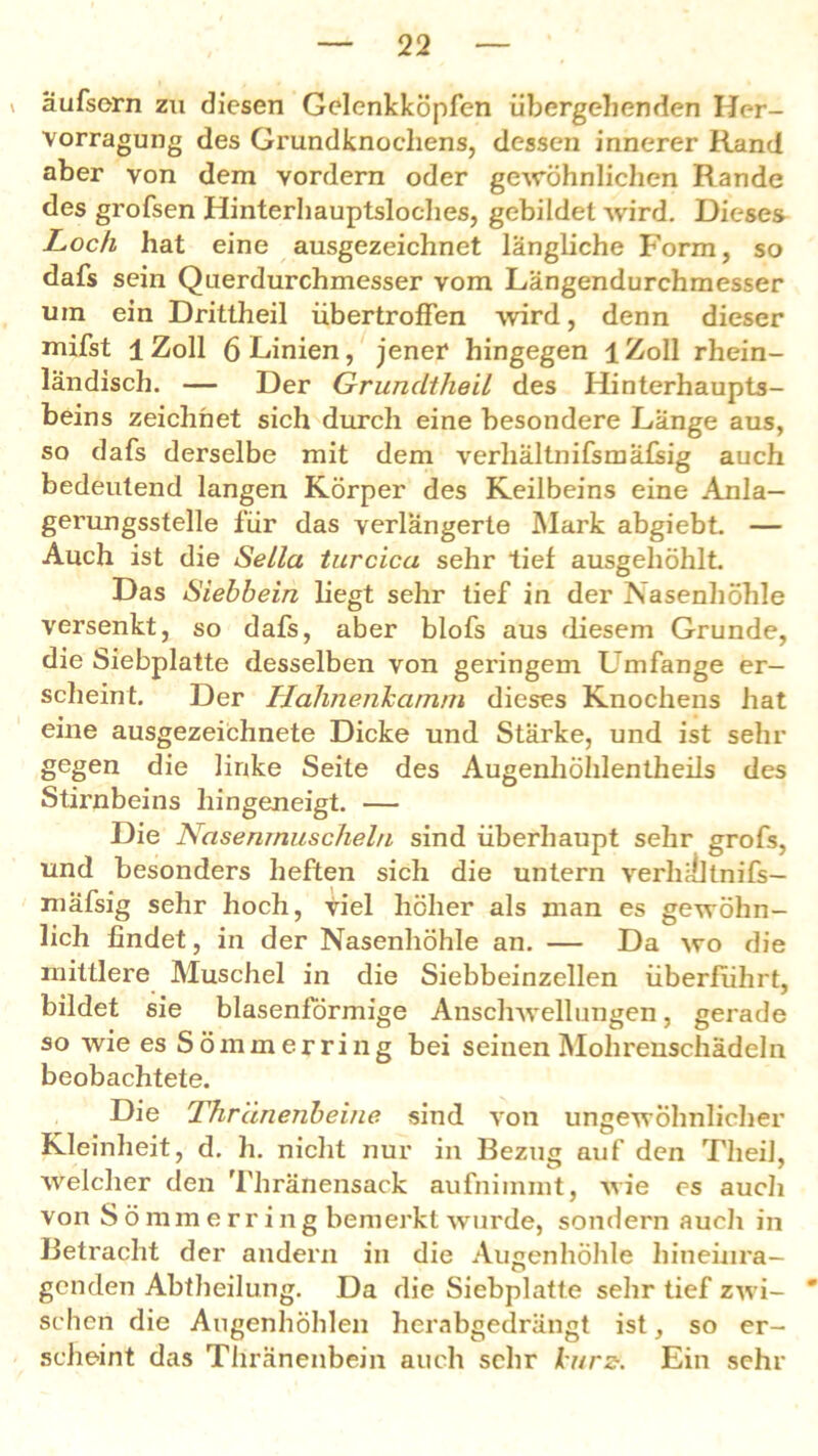 ' äufsorn zu diesen Gelenkköpfen übergehenden Her- vorragung des Grundknochens, dessen innerer Rand aber von dem yordern oder gewöhnlichen Rande des grofsen Hinterhauptsloches, gebildet wird. Dieses Loch hat eine ausgezeichnet längliche Form, so dafs sein Querdurchmesser vom Längendurchmesser um ein Drittheil übertroffen wird, denn dieser mifst lZoll 6 Linien, jener hingegen lZoll rhein- ländisch. — Der Grundtheil des Hinterhaupts- beins zeichnet sich durch eine besondere Länge aus, so dafs derselbe mit dem verhältnifsmäfsig auch bedeutend langen Körper des Keilbeins eine Anla— gerungsstelle für das verlängerte Mark abgiebt. — Auch ist die Sella turcica sehr tief ausgehöhlt. Das Siebbein liegt sehr tief in der Nasenhöhle versenkt, so dafs, aber blofs aus diesem Grunde, die Siebplatte desselben von geringem Umfange er- scheint. Der Hahnenkamm dieses Knochens hat eine ausgezeichnete Dicke und Stärke, und ist sehr gegen die linke Seite des Augenhölilentheüs des Stirnbeins hingeneigt. — Die Nasenmuscheln sind überhaupt sehr grofs, und besonders heften sich die untern verhilltnifs— mäfsig sehr hoch, viel höher als man es gewöhn- lich findet, in der Nasenhöhle an. — Da wo die mittlere Muschel in die Siebbeinzellen überführt, bildet sie blasenförmige Anschwellungen, gerade so wie es Sömmerring bei seinen Mohrenschädeln beobachtete. Die Thränenbeine sind von ungewöhnlicher Kleinheit, d. h. nicht nur in Bezug auf den Theil, welcher den Thränensack aufnimmt, wie cs auch von S ö mm e rr i n g bemerkt wurde, sondern aueli in Betracht der andern in die Augenhöhle hineinra- genden Abtheilung. Da die Siebplatte sehr tief zwi- * sehen die Augenhöhlen herabgedrängt ist, so er- scheint das Thränenbein auch sehr kurz. Ein sehr