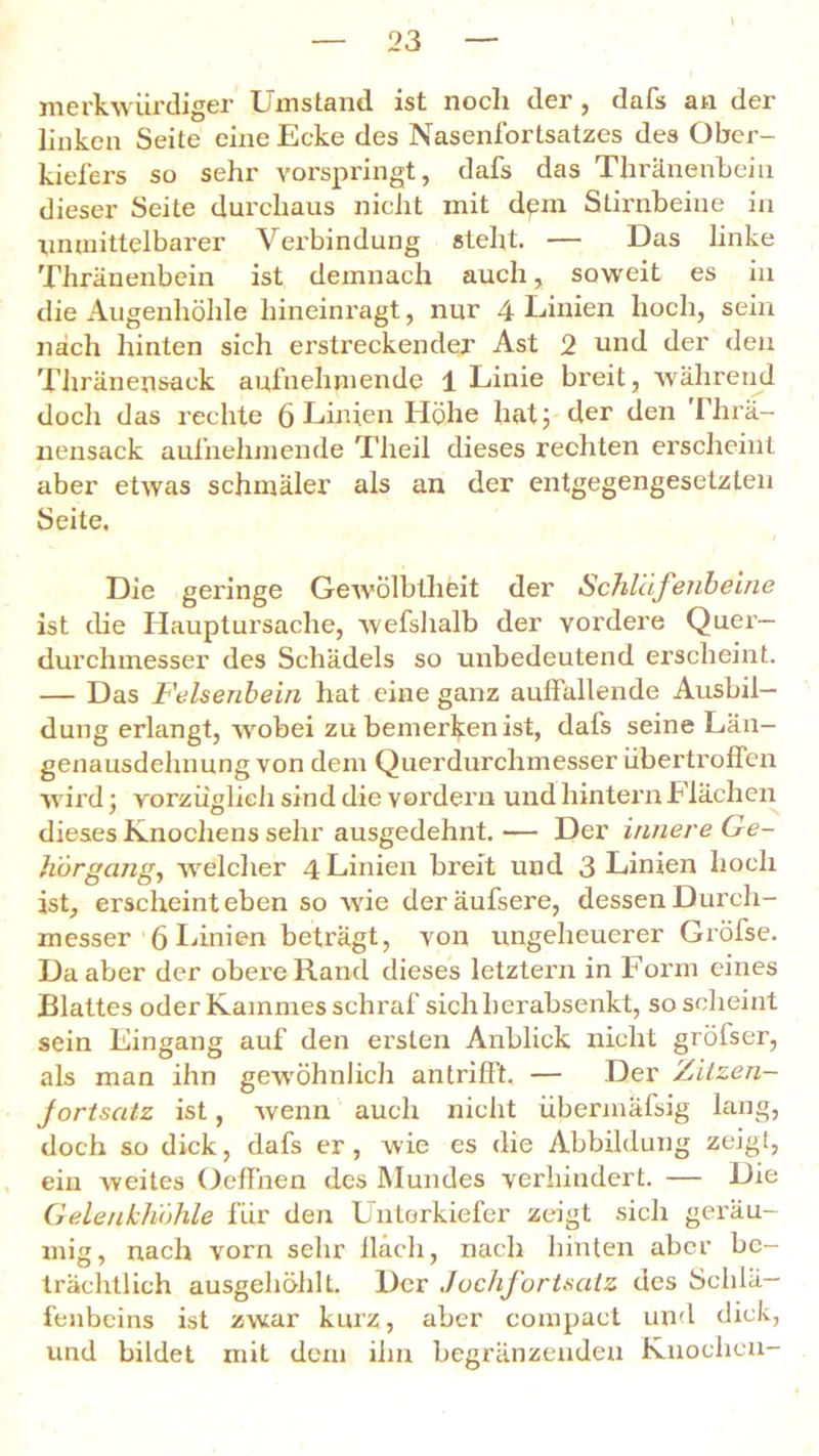 merkwürdiger Umstand ist noch der, dafs an der linken Seite eine Ecke des Nasenfortsatzes des Ober- kiefers so sehr vorspringt, dafs das Thränenbein dieser Seite durchaus nicht mit dem Stirnbeine in unmittelbarer Verbindung steht. — Das linke Thränenbein ist demnach auch, soweit es in die Augenhöhle hineinragt, nur 4 Linien hoch, sein nach hinten sich erstreckender Ast 2 und der den Thränensack aufnehmende 1 Linie breit, während doch das rechte 6 Linien Höhe hat J der den JThrä- nensack aufnehmende Theil dieses rechten erscheint aber etwas schmäler als an der entgegengesetzten Seite, Die geringe Gewölbtheit der Schläfenbeine ist die Hauptursache, wefshalb der vordere Quer— durchmesser des Schädels so unbedeutend erscheint. — Das Felsenbein hat eine ganz auffallende Ausbil- dung erlangt, wobei zu bemerken ist, dafs seine Län- genausdehnung von dem Querdurchmesser übertroffen wird; vorzüglich sind die vordem und hintern Flächen dieses Knochens sehr ausgedehnt. — Der innere Ge- hörgang, welcher 4 Linien breit und 3 Linien hoch ist, erscheint eben so wie deräufsere, dessen Durch- messer 6 Linien beträgt, von ungeheuerer Gröfse. Da aber der obere Rand dieses letztem in Form eines Blattes oder Kammes schraf sich herabsenkt, so scheint sein Eingang auf den ersten Anblick nicht grölser, als man ihn gewöhnlich antrifft. — Der Zitzen- jortsatz ist, wenn auch nicht übermäfsig lang, doch so dick, dafs er , wie es die Abbildung zeigt, ein Aveites Oeffnen des Mundes verhindert. — Die Gelenkhöhle für den Unterkiefer zeigt sich geräu- mig, nach vorn sehr lläch, nach hinten aber be- trächtlich ausgehöhlt. Der Jochfortsatz des Schlä- fenbeins ist zwar kurz, aber compact und dick, und bildet mit dem ihn begränzenden Knochen-