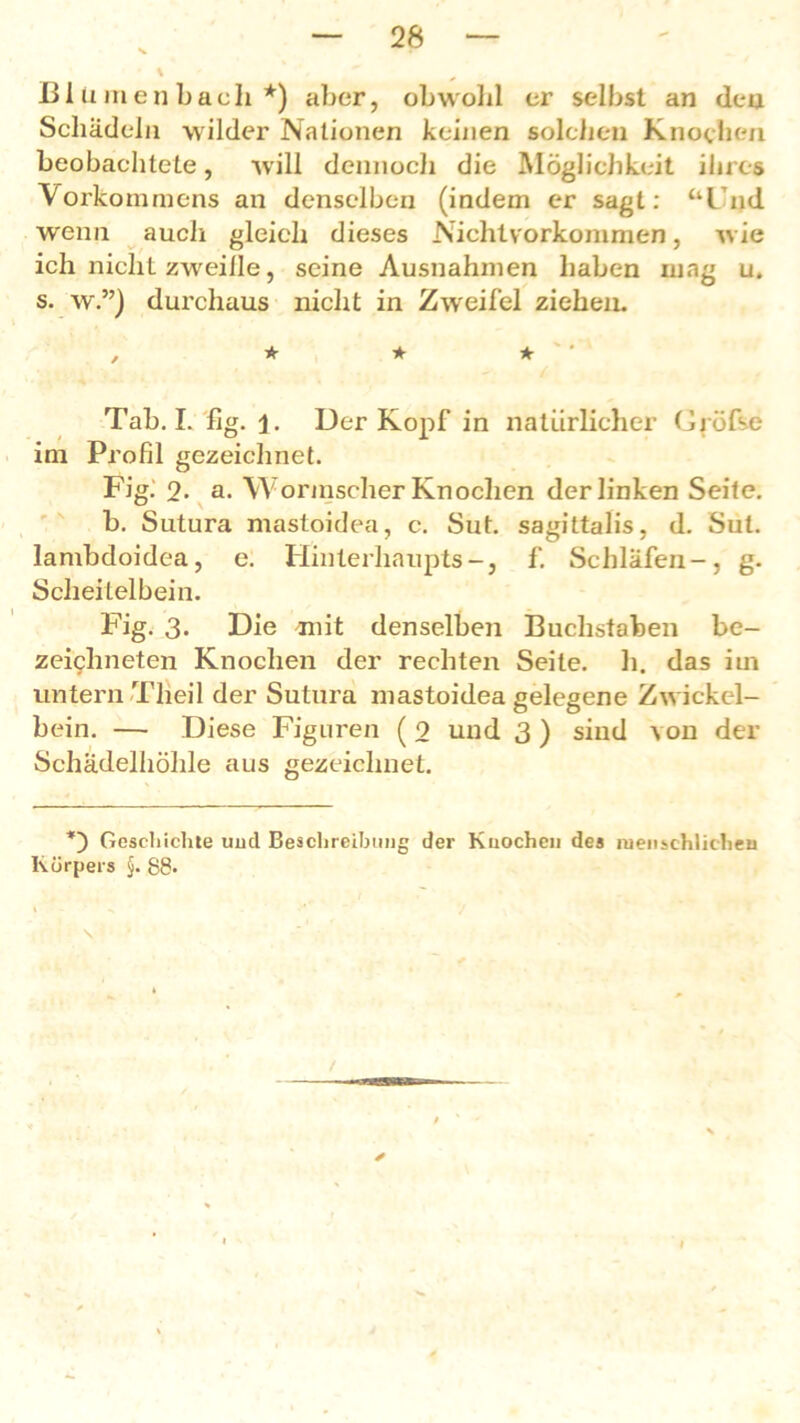 Blumenbach*) aber, obwohl er selbst an den Schädeln wilder Nationen keinen solchen Knochen beobachtete, will dennoch die Möglichkeit ihres Vorkommens an denselben (indem er sagt: “l nd wenn auch gleich dieses Nichtvorkommen, wie ich nicht zweifle, seine Ausnahmen haben mag u. s. w.”) durchaus nicht in Zweifel ziehen. , * * * '' Tab. I. hg. l. Der Kopf in natürlicher Gföfse im Profil gezeichnet. FigJ 2. a. Wormscher Knochen der linken Seite. b. Sutura mastoidea, c. Sut. sagittalis, d. Sut. lambdoidea, e. Hinterhaupts-, f. Schläfen-, g. Scheitelbein. Fig. 3. Die mit denselben Buchstaben be- zeichneten Knochen der rechten Seite, h. das im untern Theil der Sutura mastoidea gelegene Zwickel- bein. — Diese Figuren ( 9 und 3 ) sind von der Schädelhöhle aus gezeichnet. *) Geschichte und Beschreibung der Knochen des menschlichen Körpers §. 88. \ / ✓ i