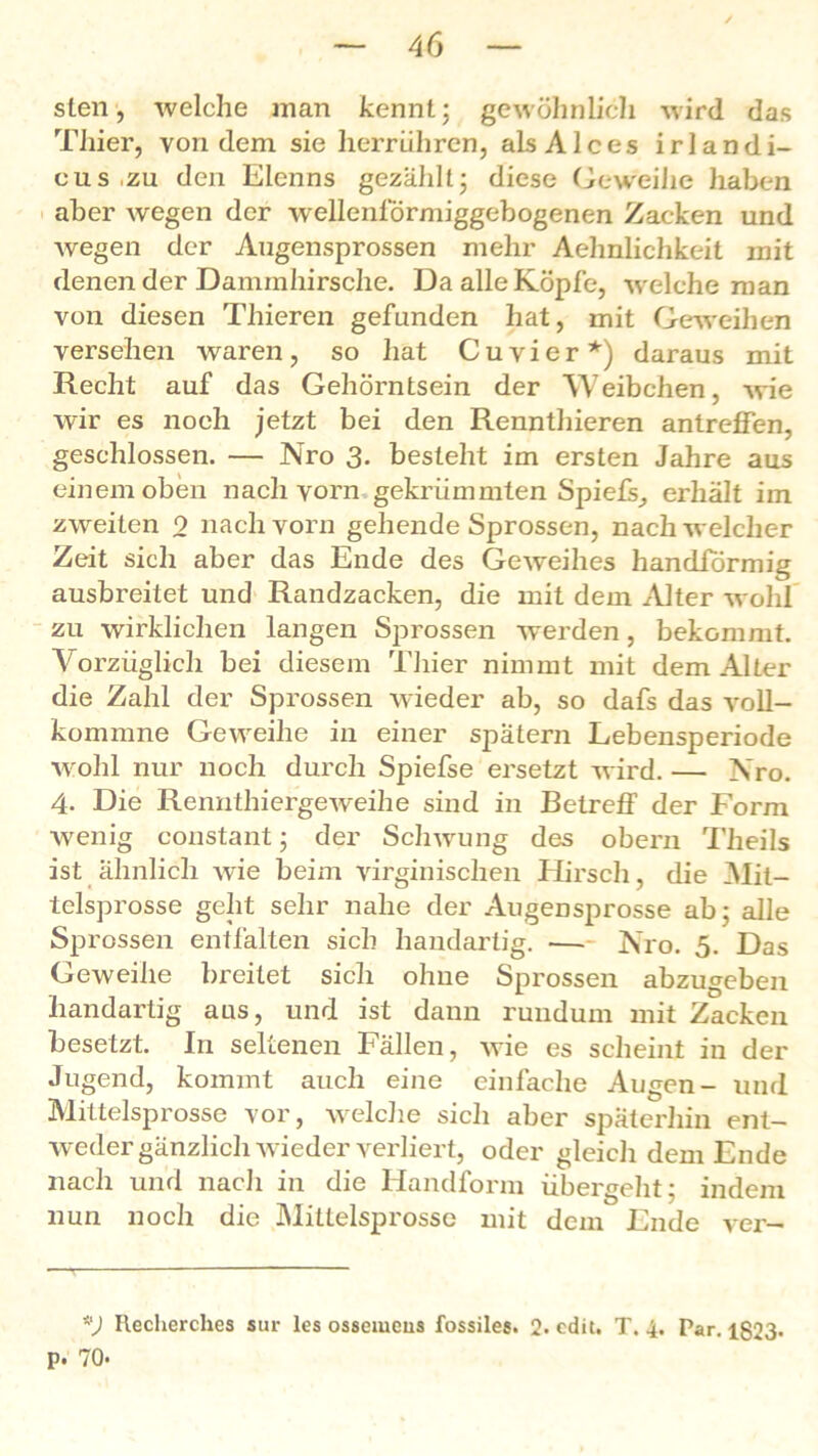 sten, welche man kennt; gewöhnlich wird das Thier, von dem sie herrühren, alsAlces irlandi- cus.zu den Elenns gezahlt; diese Geweihe haben aber wegen der wellenförmiggebogenen Zacken und wegen der Augensprossen mehr Aehnlichkeit mit denen der Dammhirsche. Da alle Köpfe, welche man von diesen Tliieren gefunden hat, mit Geweihen versehen waren , so hat C u v i e r *) daraus mit Recht auf das Gehörntsein der Weibchen, wie wir es noch jetzt bei den Rennthieren antreffen, geschlossen. — Nro 3. besteht im ersten Jahre aus einem oben nach vorn gekrümmten Spiels, erhält im zweiten 0 nach vorn gehende Sprossen, nach welcher Zeit sich aber das Ende des Geweihes handformig ausbreitet und Randzacken, die mit dem Alter wohl zu wirklichen langen Sprossen werden, bekommt. Vorzüglich bei diesem Thier nimmt mit dem Alter die Zahl der Sprossen wieder ab, so dafs das voll- kommne Geweihe in einer spätem Lebensperiode wohl nur noch durch Spiefse ersetzt wird. — Nro. 4. Die Rennthiergeweihe sind in Betreff der Form Avenig constant; der Schwung des obern Theils ist ähnlich Avie beim virginischen Hirsch, die Mit- telsprosse gellt sehr nahe der Augensprosse ab; alle Sprossen entfalten sich handartig. — Nro. 5. Das Geweihe breitet sich ohne Sprossen abzugeben bandartig aus, und ist dann rundum mit Zacken besetzt. In seltenen Fällen, Avie es scheint in der Jugend, kommt auch eine einfache Augen- und Mittelsprosse vor, welche sich aber späterhin ent- Aveder gänzlich wieder verliert, oder gleich dem Ende nach und nach in die Handform übergeht; indem nun noch die Mittelsprosse mit dem Ende ver- *) Recherches sur les osseiueus fossiles. 2. cdit. T. 4. Par. 1823* p. 70.