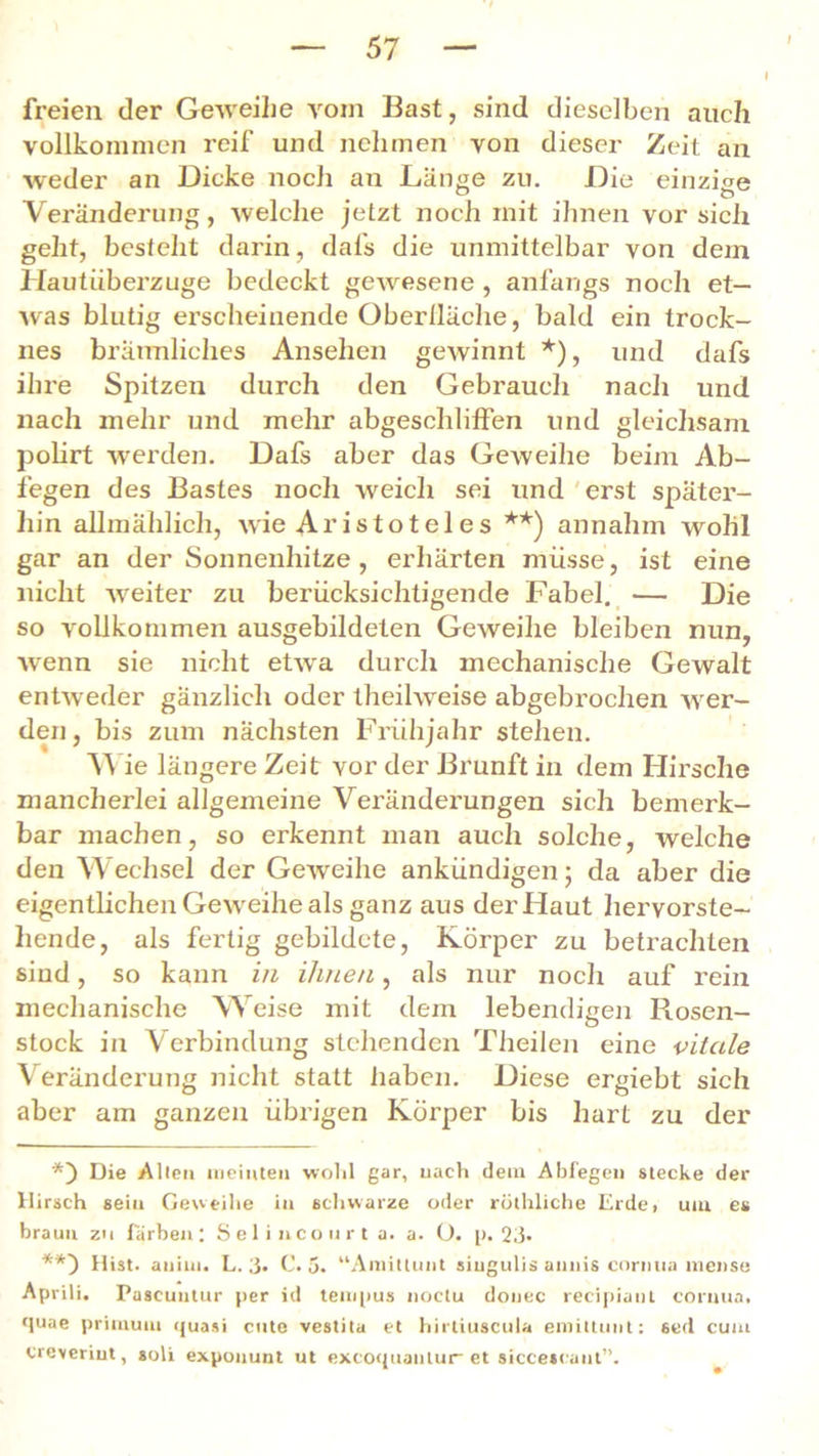 l freien der Geweihe vom Bast, sind dieselben auch vollkommen reif und nehmen von dieser Zeit an weder an Dicke noch an Länge zu. Die einzige # ° o Veränderung, welche jetzt noch mit ihnen vor sich geht, besteht darin, dafs die unmittelbar von dem Hautiiberzuge bedeckt gewesene , anfangs noch et- was blutig erscheinende Oberlläche, bald ein trock- nes brärmliches Ansehen gewinnt *), und dafs ihre Spitzen durch den Gebrauch nach und nach mehr und mehr abgeschliffen und gleichsam polirt werden. Dafs aber das GeAveihe beim Ab- fegen des Bastes noch weich sei und erst später- hin allmählich, wie Aristoteles **) annahm wohl gar an der Sonnenhitze, erhärten müsse, ist eine nicht weiter zu berücksichtigende Fabel. — Die so vollkommen ausgebildeten GeAveihe bleiben nun, wenn sie nicht etAva durch mechanische Gewalt entAveder gänzlich oder theifweise abgebrochen Aver- den, bis zum nächsten Frühjahr stehen. Wie längere Zeit vor der Brunft in dem Hirsche mancherlei allgemeine Veränderungen sich bemerk- bar machen, so erkennt man auch solche, welche den Wechsel der GeAveihe ankündigen; da aber die eigentlichen GeAveihe als ganz aus der Haut hervorste- hende, als fertig gebildete, Körper zu betrachten sind, so kann in ihnen, als nur noch auf rein mechanische Weise mit dem lebendigen Rosen- stock in Verbindung stehenden Theilen eine vitale Veränderung nicht statt haben. Diese ergiebt sich aber am ganzen übrigen Körper bis hart zu der *) Die Allen meinten wohl gar, nach dem Abfegen stecke der Hirsch sein Gedeihe in schwarze oder rüthliche Erde, um es braun zu färben; Selincourta. a. O. p. 23- **) Hist, auiui. L. 3* C. 5. “Amittunt siugulis annis cormia mense Aprili. Pascuntur per id tempus noctu donec recipiant cormia, fjuae priinum <juasi cute vestita et hirtiuscula emittunt: sed cum creyeriut, soli exponunt ut excoquanlur et siccescant”.