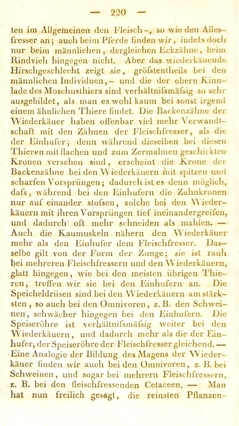 ten im Allgemeinen den Fleisch-, so wie den Alles- fresser an ; auch heim Pferde linden wir, indefis doch nur beim männlichen, dergleichen Eckzähne, beim Rindvieh hingegen nicht. Aber das wiederkäuende Hirschgeschlecht zeigt sie, gröfstentheils bei den männlichen Individuen, - und die der obern Kinn- lade des Moschusthiers sind verhältniCsmäCsig so sehr ausgebildet, als man es wohl kaum bei sonst irgend einem ähnlichen Thiere findet. Die Backenzähne der Wiederkäuer haben offenbar viel mehr Verwandt- schaft mit den Zähnen der Fleischfresser, als die der Einhufer; denn während dieselben bei diesen Thieren mit flachen und zum Zermalmen geschickten Kronen versehen sind, erscheint die Krone der Backenzähne bei den W iederkäuern Aiit spitzen und scharfen Vorsprüngen ; dadurch ist es denn möglich, dafs, während bei den Einhufern die Zahnkronen nur auf einander stofsen, solche bei den W ieder- käuern mit ihren Vorsprüngen tief ineinandergreifen, und dadurch oft mehr schneiden als mahlen. — Auch die Kaumuskeln nähern den W iederkäuer mehr als den Einhufer dem Fleischfresser. Das- selbe gilt von der Form der Zunge; sie ist rauh bei mehreren Fleischfressern und den Wiederkäuern, glatt hingegen, wie bei den meisten übrigen Thie- ren, treffen wir sie bei den Einhufern an. Die Speicheldrüsen sind bei den Wiederkäuern am stärk- sten , so auch bei den Omnivoren, z. B. den Schwei- nen, schwächer hingegen bei den Einhufern. Die Speiseröhre ist verhältnifsmafsig weiter bei den Wiedei’käuern , und dadurch mehr als die der Ein- hufer, der Speiseröhre der Fleischfresser gleichend. — Eine Analogie der Bildung des Magens der Y\ ieder- käuer finden wir auch beiden Omnivoren, z. B. bei Schweinen, und sogar bei mehrern Fleischfressern, z. B. bei den fleischfressenden Cetaceen. — Man hat nun freilich gesagt, die reinsten Pflanzen-