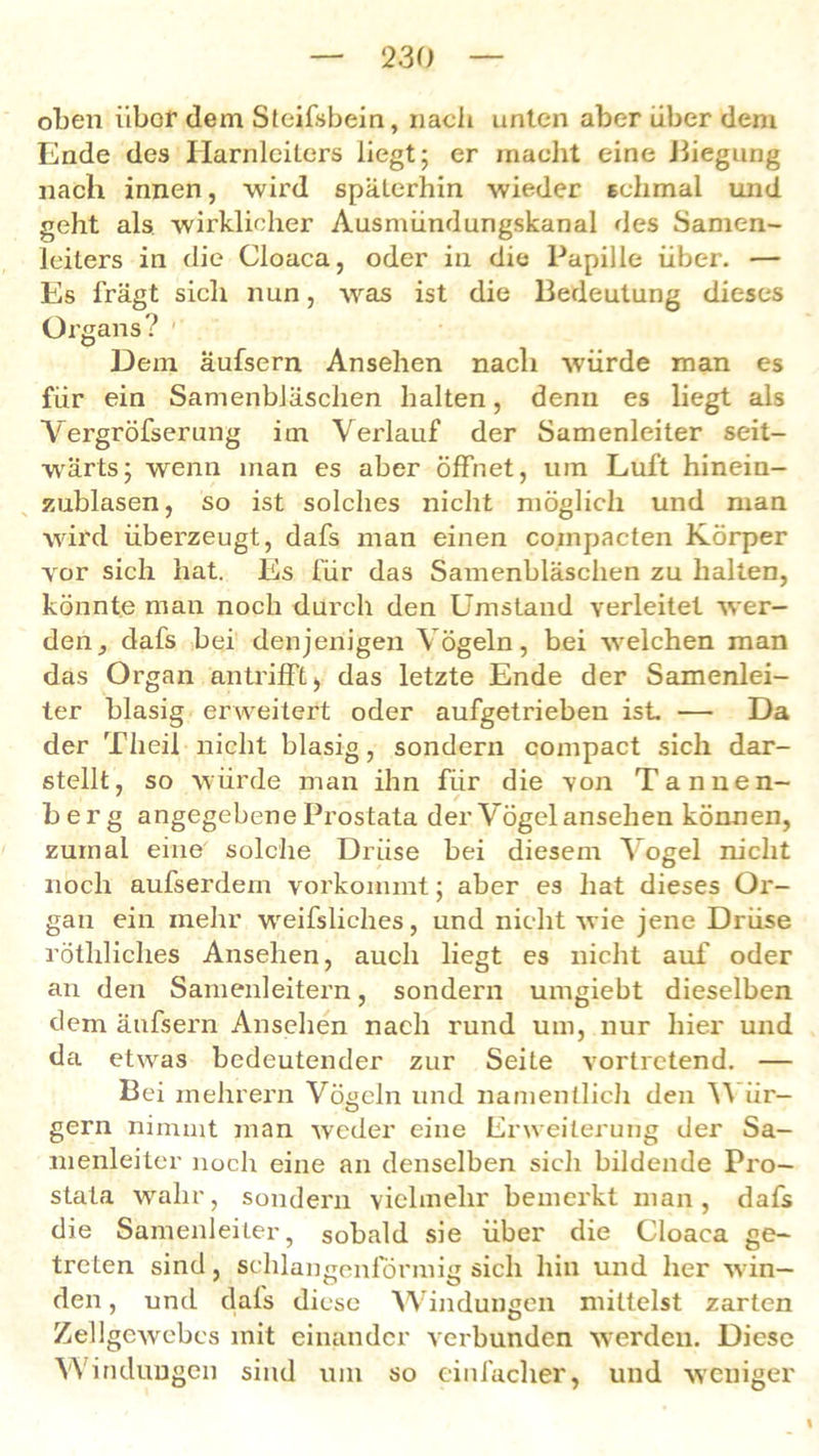 oben iibor dem Steifsbein, nach unten aber tiber dem Ende des Harnleiters liegt; er macht eine Biegung nach innen, wird späterhin wieder schmal und geht als wirklicher Aasmündungskanal des Samen- leiters in die Cloaca, oder in die Papille über. — Es fragt sich nun, was ist die Bedeutung dieses Organs? ' Dem äufsern Ansehen nach würde man es für ein Samenbläschen halten, denn es liegt als Vergröfserung im Verlauf der Samenleiter seit- wärts; wenn man es aber öffnet, um Luft hinein- zublasen, so ist solches nicht möglich und man wird überzeugt, dafs man einen compacten Körper vor sich hat. Es für das Samenbläschen zu halten, könnte man noch durch den Umstand verleitet wer- den, dafs bei denjenigen Vögeln, bei welchen man das Organ an trifft > das letzte Ende der Samenlei- ter blasig erweitert oder aufgetrieben ist — Da der Tlieil nicht blasig, sondern compact sich dar- stellt, so würde man ihn für die von Tannen- berg angegebene Prostata der Vögel ansehen können, zumal eine solche Drüse bei diesem Vogel nicht noch aufserdem vorkommt; aber es hat dieses Or- gan ein mehr weifsliehes, und nicht wie jene Drüse röthliches Ansehen, auch liegt es nicht auf oder an den Samenleitern, sondern umgiebt dieselben dem äufsern Ansehen nach rund um, nur hier und da etwas bedeutender zur Seite vortretend. — Bei mehrern Vögeln und namentlich den AA är- gern nimmt man weder eine Erweiterung der Sa- menleiter noch eine an denselben sich bildende Pro- stata wahr, sondern vielmehr bemerkt man, dafs die Samenleiter, sobald sie über die Cloaca ge- treten sind, schlangenformig sich hin und her win- den , und dals diese Windungen mittelst zarten Zellgewebes mit einander verbunden werden. Diese Windungen sind um so einfacher, und weniger I