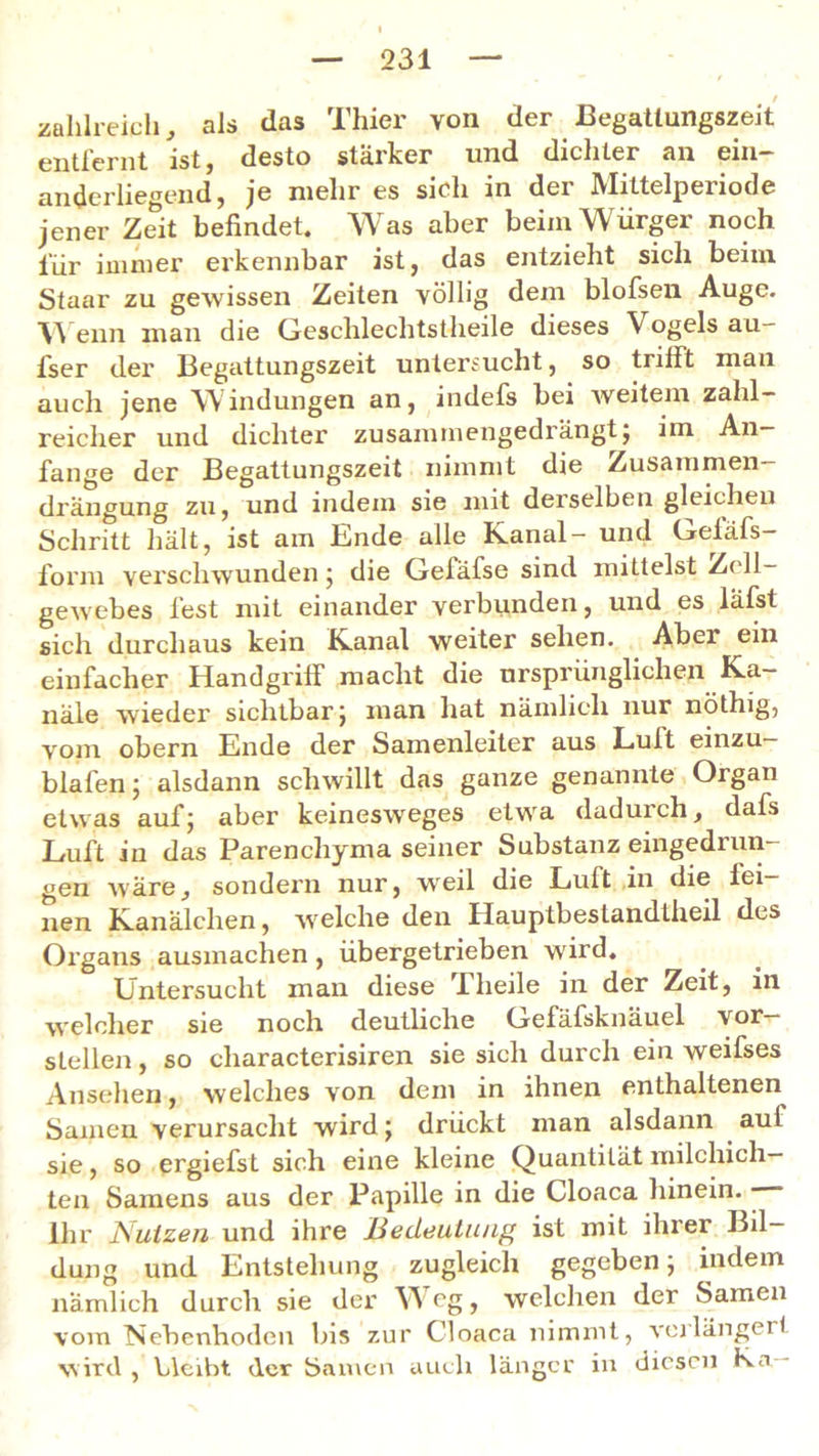 / zahlreich, als das Thier von der Begattungszeit ist j desto stärker und dichter an ein— anderliegend, je mehr es sich in der Mittelperiode jener Zeit befindet. Was aber beim Würger noch für immer erkennbar ist, das entzieht sich beim Staar zu gewissen Zeiten völlig dem blofsen Auge. Wenn man die Geschlechtstheile dieses Vogels au- fser der Begattungszeit untersucht, so trifft man auch jene Windungen an, indefs bei weitem zahl- reicher und dichter zusammengedrängt; im An- fänge der Begattungszeit nimmt die Zusammen— drängung zu, und indem sie mit deiselben gleichen Schritt hält, ist am Ende alle Kanal- und Gefäfs- form verschwunden; die Gefäfse sind mittelst Zell- gewebes fest mit einander verbunden, und es läfst sich durchaus kein Kanal weiter sehen. Aber ein einfacher Handgriff macht die ursprünglichen Ka- näle wieder sichtbar ; man hat nämlicli nur nöthig, vom obern Ende der Samenleiter aus Luit einzu— blafen; alsdann schwillt das ganze genannte Organ etwas auf; aber keinesweges etwa dadurch, dafs Luft in das Parenchyma seiner Substanz eingedrun- gen wäre, sondern nur, weil die Luft in die lei- nen Kanälchen, welche den Ilauptbestandtheil des Organs ausmachen , übergetrieben wird. Untersucht man diese rIheile in der Zeit, in welcher sie noch deutliche Gefäfsknäuel vor— stellen, so characterisiren sie sich durch ein weifses Ansehen, welches von dem in ihnen enthaltenen Samen verursacht wird; drückt man alsdann auf sie, so ergiefst sich eine kleine Quantität milcliich— ten Samens aus der Papille in die Cloaca hinein. Ihr ISuizen und ihre Bedeutung ist mit ihrer Bil- dung und Entstehung zugleich gegeben; indem nämlich durch sie der Weg, welchen der Samen vom Nebenhoden bis zur Cloaca nimmt, verlängert wird , bleibt der Samen auch länger in diesen Kn -