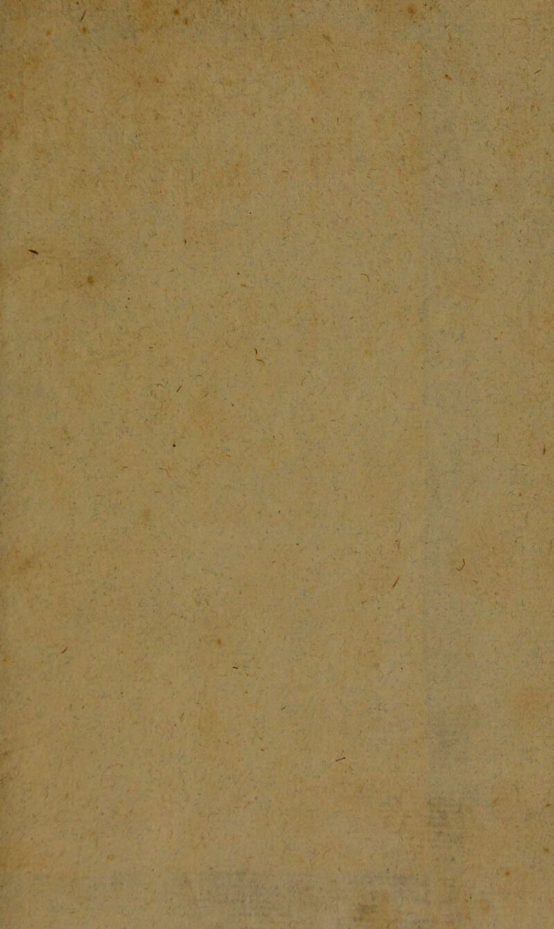 -t j % ' l ■ » - ;• . -t ■ 4ftT » • ■