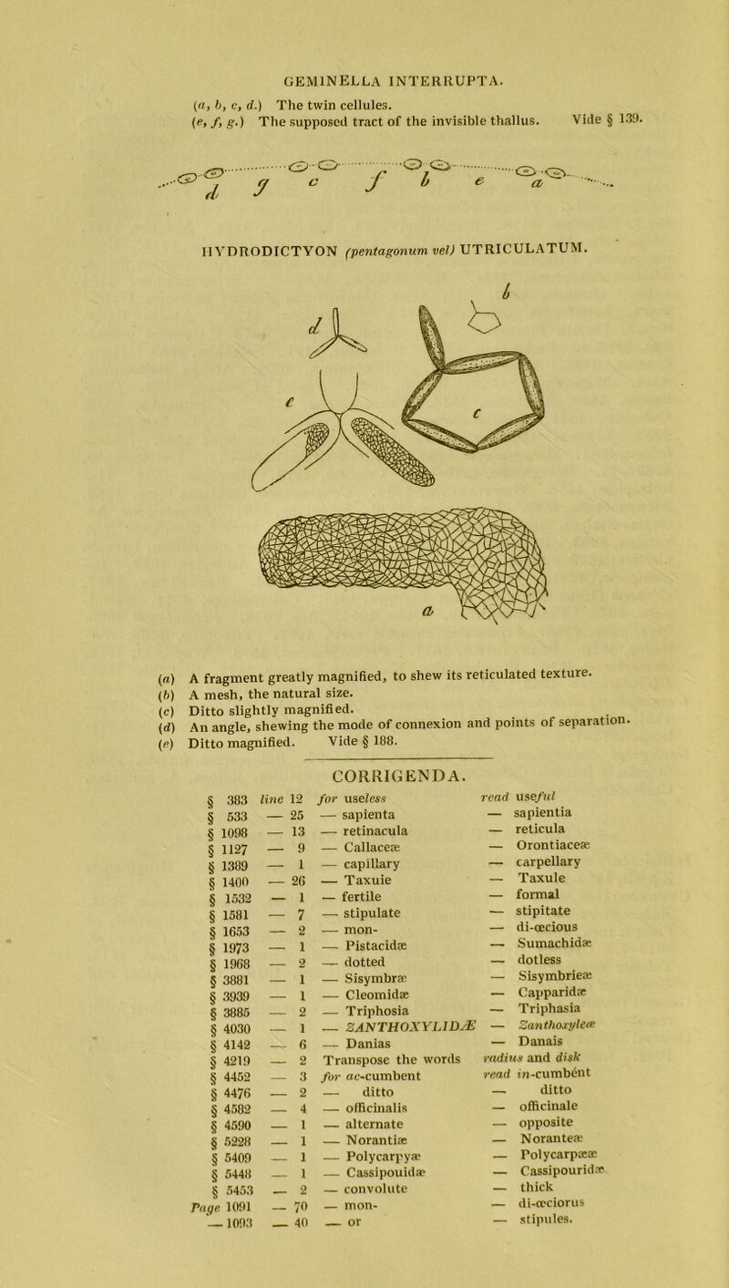 geminella interrupta. (a, b, e, d.) The twin cellules. (e, f, g.) The supposed tract of the invisible thallus. Vide § 139. fi y ■<S>-0 c f ■<2> <2>- It <2>- a 1IVDRODICTVON (pentagonum vel) UTRICULATUM. (ff,) A fragment greatly magnified, to shew its reticulated texture. (6) A mesh, the natural size. (c) Ditto slightly magnified. (d) An angle, shewing the mode of connexion and points of separation Vide § 188. CORRIGENDA. (e) Ditto magnified. § 383 line 12 § 533 — 25 § 1098 — 13 § 1127 — 9 § 1389 — 1 § 1400 — 26 § 1532 — 1 § 1581 — 7 § 1653 — 2 § 1973 — 1 § 1968 — 2 § 3881 — 1 § 3939 — 1 § 3885 — 2 § 4030 — 1 § 4142 6 § 4219 — 2 § 4452 — 3 § 4476 — 2 § 4582 — 4 § 4590 — 1 § 5228 — 1 § 5409 — 1 § 5448 _ 1 § 5453 _ 2 Page 1091 - 70 —1093 _ 40 for useless — sapienta — retinacula — Callacea; — capillary — Taxuie — fertile — stipulate — mon- — Pistacidte — dotted — Sisymbra' — Cleomidae — Triphosia — ZANTHOXYLlDtE — Danias Transpose the words for «c-cumbent — ditto — officinalis — alternate — Norantiae — Polycarpya- — Cassipouida? — convolute — mon- or read useful — sapientia — reticula — Orontiaceic — carpellary — Taxuie — formal — stipitate — di-cecious — Sumachida: — dotless — Sisymbriea; — Capparidrr — Triphasia — Zanthoxylere — Danais radius and disk read »n-cumb£nt — ditto — officinale — opposite — Noranteae — Tolycarpaxe — Cassipourid* — thick — di-cociorus — stipules.