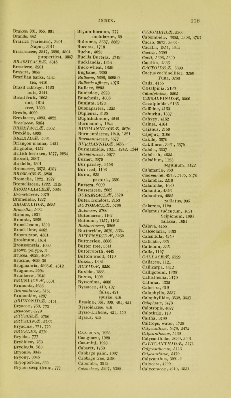 Brakes, 831, 855, 881 Brands, 442 Brassica (varieties), 3901 Napus, 3911 Brassicacetc, 3847, 3898, 4804 (properties), 3857 BRASSICACEJE, 5315 Brassicese, 3901 Brayera, 3055 Brazilian barks, 4141 tea, 4410 Brazil cabbage, 1123 nuts, 3141 Breadfruit, 1603 nut, 1614 tree, 1398 Brexia, 4099 Brexiacete, 4093, 4822 Brexiucece, 5364 BREX/ACEaE, 5362 Brexid®, 4099 BREXIDaE, 5364 Brianjon manna, 1421 Brignolia, 4152 British herb tea, 1577, 2284 Brocoli, 3907 Brodelia, 1891 Bromaceae, 3673, 4787 BROMACEaE, 5258 Bromelia, 1222, 1227 Bromeliace®, 1222, 1319 BROMELIACEJE, 5684 BrnmeliacetE, 5676 Bromelidce, 1227 BROMELIDaE, 5685 Bromelia;, 5684 Bromus, 1031 Bronnia, 3262 Brood-boom, 1398 Brook lime, 4462 Broom rape, 4381 Brosimum, 1614 Broussonetia, 1606 Brown polype, 3 Brucea, 4028, 4030 Brucine, 4028-30 Brugmansia, 4895-6, 4512 Brugnons, 2294 Bruniacese, 1948 BRUNIACEaE, 5531 Brunonia, 4286 Brunoniaceee, 5151 Brunonidse, 4287 BRUNONIDaE, 5151 Bryace®, 763, 773 Bryacecc, 5779 BRYACEaE, 5786 BR YACINaE, 5783 Bryacime, 771, 772 BRYALES, 5779 Bryid®, 777 Bryoide®, 763 Bryologia, 763 Bryonia, 3345 Bryony, 3345 Bryopterides, 832 Brvum cajspiticum, 777 INDEX. Bryum horuum, 777 undulatum, 59 Bubroma, 3687, 3689 Buceras, 1718 Buchu, 4025 Bucida Buceras, 1718 Bucklandia, 1344 Buck-wheat, 1829 Bugbane, 3805 Bulbosai, 5696, 5698-9 Bulbnsis affines, 4976 Bullace, 2283 Buniade®, 3923 Bunchosia, 4086 Bunium, 3423 Buonapartea, 1225 Bupleura, 3425 Buphthalmum, 4242 Burmannia, 1244 B URMA NNIACEaE, 5676 Burmanniaceae, 1240, 1321 BurmanniacetB, 5677 BURMANNIDaE, 5677 Burmannid®, 1321, 1242, 1244 Burmanniece, 5677 Burnet, 3079 Bur parsley, 3458 Bur seed, 1108 Bursa, 238 pastoris, 3891 Bursera, 2009 Burserace®, 2002 BURSERACEaE, 5520 Butea frondosa, 2153 BUTOMACEaE, 5706 Butomete, 5706 Butomace®, 1162 Butomus, 1157, 1162 Buttneriaceas, 5262 Buttneridae, 3679, 3684 BUTTNERIDaE, 5262 Buttnerie®, 3686 Butter tree, 3541 Butterworth, 4449 Button wood, 4170 Buxeae, 1892 UUXIDaE, 5550 Buxidae, 1888 Buxus, 1892 Byrsonima, 4086 Byssace®, 410, 487 falsae, 421 spuria;, 416 Byssinae, 361, 399, 401, 451 Byssoidace®, 416 Bysso-Lichens, 421, 456 Byssus, 415 Caa-cuys, 1928 Caa-guazu, 1928 Caa-minj, 1928 Cabaret, 1763 Cabbage palm, 1097 Cabbage tree, 2180 Cabomba, 3812 Cabomboie, 5297, 5300 llfi CABOMBIDaE, 5300 Cabombidae, 3802, 3808, 4797 Cacao, 3673, 3688 ' Cacaiia, 1854, 4244 Cactea;, 5399 Cacti, 5398, 5399 Cactites, 4886 CACTOIDEaE, 5399 Cactus cochinellifer, 3268 Tuna, 3268 Cada, 4155 Ccesalpinia, 2186 Ciesalpiniece, 5505 CaESALPINIDaE, 5506 Caesaipinidae, 2185 Caffeine, 4163 Cahuchu, 1887 Cahvey, 4162 Cainea, 4164 Cajanus, 2150 Cajeput, 3106 Cakile, 3879 Cakiline®, 3864, 3879 Calaba, 3537 Calabash, 4535 Caladium, 1123 seguinum, 1122 Calamarise, 968 Calamarice, 4973, 5735, 5476 Calambac, 2219 Calamidac, 1089 Calamita, 4346 Calamites, 4885 radiatus, 935 Calamus, 1120 Calamus rudeutum, 1091 Scipionum, 109! zalacca, 1091 Calava, 4155 Calceolaria, 4463 Calendula, 4249 Calicidae, 385 Calicium, 385 Calla, 1127 CALLACEaE, 5729 Callaceae, 1121 Callicarpa, 4412 Calligonum, 1836 Callisthenia, 3170 Calluna, 4332 Calocera, 619 Calophylla, 3537 Calophyllidte, 3532, 3537 Calophytai, 5473 Calotropis, 4627 Calothrix, 178 Caltha, 3790 Caltrops, water, 1729 Cal yen a there, 5470, 5472 Calycanthema', 5439 Calycanthid®, 3089, 3091 CALYCANTHIUaE, 5471 Calycanthema:, 5443 Cal jean thina', 5470 Calycanthus, 3091-2 Calycera, 4209 Calyccrace®, 4210, 4831