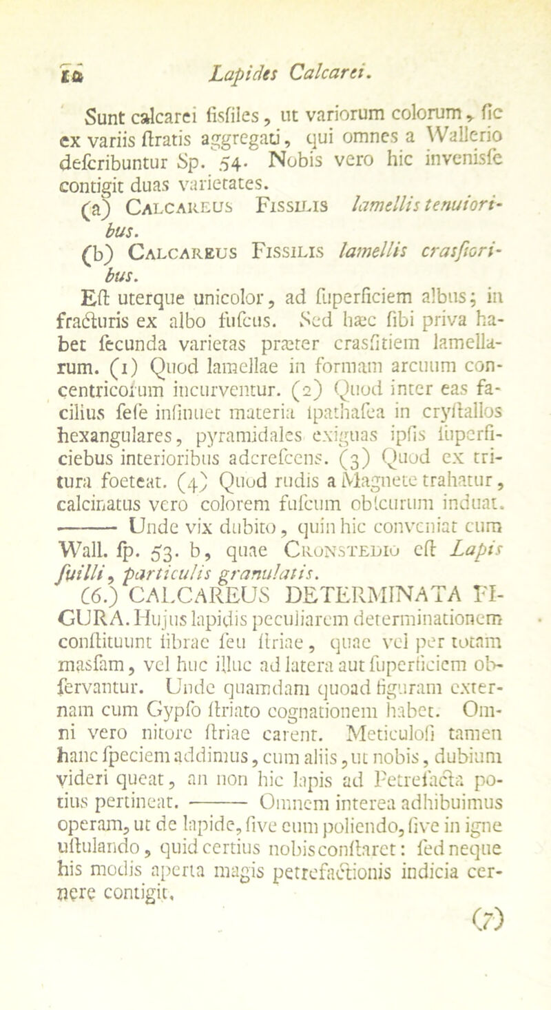 Sunt calcarei fisfiles , ut variorum colorum ,. fjc ex variis dratis aggregati, qui omnes a Wallerio deferibuntur Sp. 54. Nobis vero hic invenisfc contigit duas varietates. (a) Calcareus Fissilis lamellis tenuiori- bus. (b) Calcareus Fissilis lamellis crasfiori- bus. Ed uterque unicolor, ad fuperficiem albus; in fraeduris ex albo fufeus. Sed haic fibi priva ha- bet fecunda varietas prteter crasfitiem lamella- rum. (1) Quod lamellae in formam arcuum con- centricorum incurventur. (2) Quod inter eas fa- cilius fefe infinuet materia ipathafea in crydallos hexangnlares, pyramidales exiguas ipfis iiipcrfi- ciebus interioribus aderefeens. (3) Quod ex tri- tura foeteat. (4) Quod rudis a Magnete trahatur, calcinatus vero colorem fufeum obteurum induat. Unde vix dubito, quin hic conveniat cum Wall. fp. 53. b, quae Cronstedio cd Lapis fui Ili, particulis granulatis. C60 CALCAREUS DETERMINATA FI- GURA. Hujus lapidis peculiarem determinationem condituum librae feu Urine , quae vel per totam masfam, vel huc illuc ad latera aut fuperficiem ol> fervantur. Unde quamdam quoad figuram exter- nam cum Gypfo driato cognationem habet. Om- ni vero nitore driae carent. Meticulofi tamen hanc fpeciem addimus, cum aliis, ut nobis, dubium videri queat, an non hic lapis ad Petrefachr po- tius pertineat. Omnem interea adhibuimus operam, ut de lapide, five cum poliendo, five in igne udulando, quid certius nobiscondaret: fed neque his modis aperta magis petrefactionis indicia cer- nere contigit, (?)