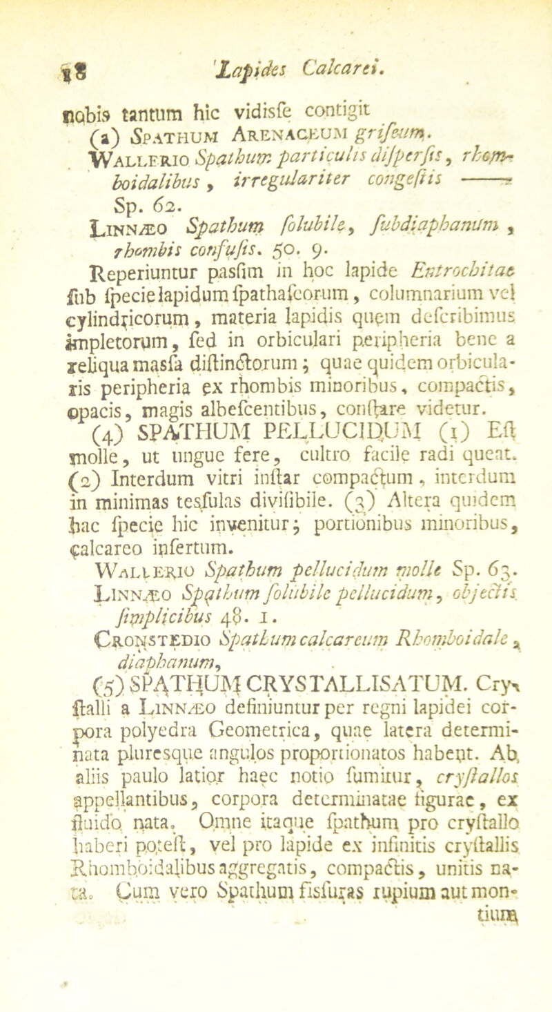 nabis tantum hic vidisfe contigit (a) Spathum Arenaceum grifeum. Wallerio Spatbum particulis dijpcrfts, rhom- boidalibus , irregulariter congeftis Sp. 62. Linn/EO Spatbum folubile, fubdiaphanUm , rhombis confujis. 50. 9. Reperiuntur pasfim in hoc lapide Entrocbitat fub fpecie lapidum fpathafeorum, columnarium vd cylindricorum, materia lapidis quem deferibimus impletorum, fed in orbiculari peripheria bene a areliqua masfa diftin&orum; quae quidem orbicula- ris peripheria ex rhombis minoribus, compactis, opacis, magis albefeentibus, conare videtur. (4) SPATHUM PELLUCIDUM (i) Elf snolle, ut ungue fere, cultro facile radi queat. (2) Interdum vitri inftar compactum, interdum in minimas tesfulas divifibile. (3) Altera quidem bac fpecie hic invenitur} portionibus minoribus, «palcareo infertum. Wallerio Spatbum pellucidum molit Sp. 63. Linnpeo Spatbum folubile pellucidum, objectis JimpUcibus 4$. i . Cronstedio Spatbum calcar eum Rhomboidale , diaphanum, (5) SPATHUJN* CRYS TALLIS ATUM. Cry> flalli a Linn/eo definiuntur per regni lapidei cor- pora polyedra Geometrica, quae latera determi- nata pluresque angulos proponionatos habept. Ab, aliis paulo latior haec notio fumiiur, cryjlallos appellantibus, corpora determinatae figurae, ex fluido, nata. Omne itaque fpathum pro cryftallo haberi po;eft, vel pro lapide ex infinitis cryltallis Rhomboidalibus aggregatis, compactis, unitis na- ta. Qum vero Spathum fisfuras rupium aut mon-