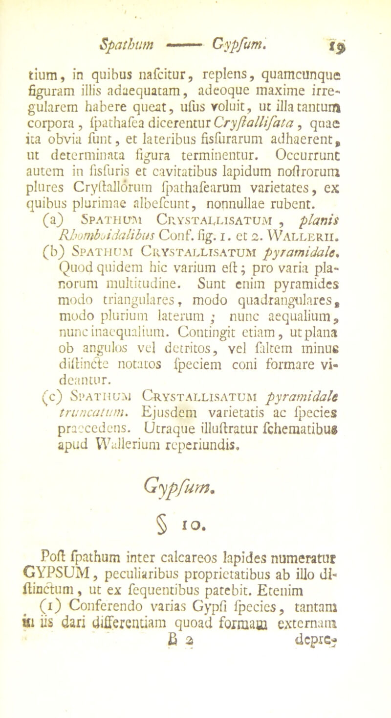 Spatham Cypfum. tium, in quibus nafcitur, replens, quamcunque figuram illis adaequatam, adeoque maxime irre- gularem habere queat, ufus voluit, ut illa tantum corpora , Ipathafea dicerentur Cryflallifata, quae ita obvia funt, et lateribus fisfurarum adhaerent, ut determinata figura terminentur. Occurrunt autem in fisfuris et cavitatibus lapidum noftrorum plures Cryftallorum fpathafearum varietates, ex quibus plurimae albefeunt, nonnullae rubent. (a) Spathum Crystallisatum , planis Rhomboidalibus Conf. fig. i. et 2. Wallerii. (b) Spatiium Crystallisatum pyramidale. Quod quidem hic varium efi:; pro varia pla- norum multitudine. Sunt enim pyramides modo triangulares, modo quadrangulares, modo plurium laterum ; nunc aequalium, nunc inaequalium. Contingit etiam, ut plana ob angulos vel detritos, vel faltem minue difiincltc notatos fpeciem coni formare vi- deantur. (c) Spathum Crystallisatum pyramidale truncatum. Ejusdem varietatis ac fpecies praecedens. Utraque illuftratur fchematibus apud Wallerium reperiundis. Gypfum. § 10. Pofi fpathum inter calcareos lapides numeratur GYPSUM, peculiaribus proprietatibus ab illo dl- ftinctum, ut ex fequentibus patebit. Etenim (1) Conferendo varias Gypfi fpecics, tantam ili iis dari differentiam quoad formam externam fi 2 depre?