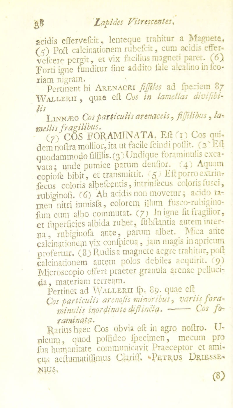 acidis effervefcit, lenreque trahitur a Magnete, (5) Poft calcinationem rubefcit, cum acidis eflfc-r- vefceic percit, et vix facilius magneti paiet. (6} Forti igne funditur fine addito ikle alcalino in ico- riam nigram. . Pertinent hi Arenacri fijftles ad fpeciem 87 Wallejui , quae eft Cos in lamellas divifibi- lis Linn/eo Cos particulis arenaceis, fijjilibas, la- mellis fragilibus. (7 ' COS FORAMINATA. Eft fi) Cos qim demnoftramollior,ita ut facile fcindi poffit. (2' Eft quodammodo fiffilis. (3) Undique foraminulis exca- vata; unde pumice parum denfior. f4) Aquam copiofe bibit, et transmittit. '5 Eft porro extrin? Pecus coloris albefeentis, intrinfecus coloris fusci, rubimnofi. (6) Ab acidis non movetur; acido ta- jnen^nitri inmisfa, colorem illum fusco-rubigino- fum cum albo commutat. (/) in igne fit fragilior, et iiiperficies albida rubet, fuhftantia aurem inter- na, rubiginofa ante, parum albet. Mica ante calcinationem vix confpicua, jam magis in apricum profertur. (83 Rudis a magnete aegre trahitur, poft calcinationem autem polos debiles acquirit. 9) Microscopio offert praeter granula arenae p-lluci- ffa, materiam terream. Pertinet ad Wallerii fp. 89. quae eft Cos particulis arenofis minoribus, variis fora- minulis inordinate di fin eia. Cos fo- raminata. Rarius haec Cos obvia eft in agro noftro. U- nicuqi, quod poffideo fpccimen, mecum pro fua humanitate communicavit Praeceptor et ami- cus geftumatiiffmus Clarilf. “Petrus Driesse- mus,