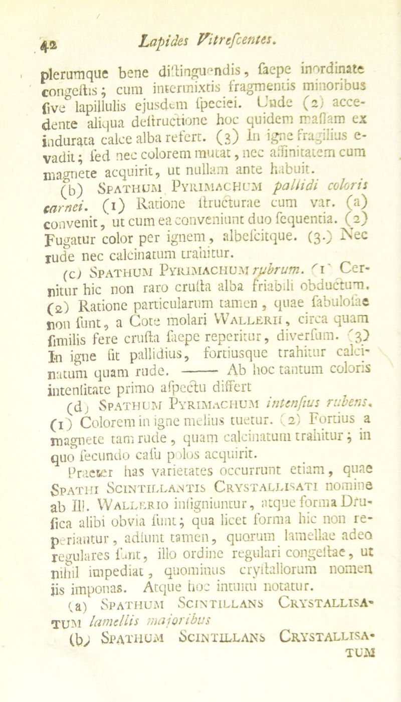 plerumque bene di'tingur,ndis, faepe inordinate con scitis; cura intermixtis fragmentis minoribus (ive^ lapillulis ejusdem fpeciei. Cude (2) acce- dente aliqua deltructionc hoc quidem maflam ex indurata calce alba refert. (3) In igne fragilius e- vadit • fed nec colorem mutat, nec affinitatem cum magnete acquirit, ut nullam ante habuit. (b) Spathum Pyrjmachum pallidi coloris carnei. (1) Ratione llructurae cum var. (a) convenitut cum ea conveniunt duo fcquentia. (2) Fugatur color per ignem , albelcitque. (3.) Nec rude nec calcinatum trahitur. (c; Spathum Pyiumachumrubrum. ri' Cer- nitur hic non raro crutta alba friabili obductum. (2) Ratione particularum tamen , quae fabuloiae non funt, a Cote molari Wallerii, circa quam fimilis fere cruda faepe reperitur, diverfum. '3} In igne fit pallidius, fortiusque trahitur calci- natum quam rude. Ab hoc tantum coloris intenlitate primo afpeclu differt (d) Spathum Pyrimachum intenfius rubens. (1) Colorem in igne melius tuetur. (2) Fortius a magnete tam rude, quam calcinatum trahitur; in quo fecundo calu polos acquirit. Praeser has varietates occurrunt etiam, quae Spathi Scintillantis Crystallisati nomine ab 111. Wall urio inligniuntur, atque forma Dfu- fica alibi obvia funt; qua licet forma hic non re- periantur, adlunt tamen, quorum lamellae adeo regulares fmt, illo ordine regulari congeilae, ut nihil impediat, quominus cryilallorum nomen jis imponas. Atque hoc intuitu notatur. U1) Spathum Scintillans Crystallisa- tum lamellis maioribus (b> Spathum Scintillans Crystallisa* tum